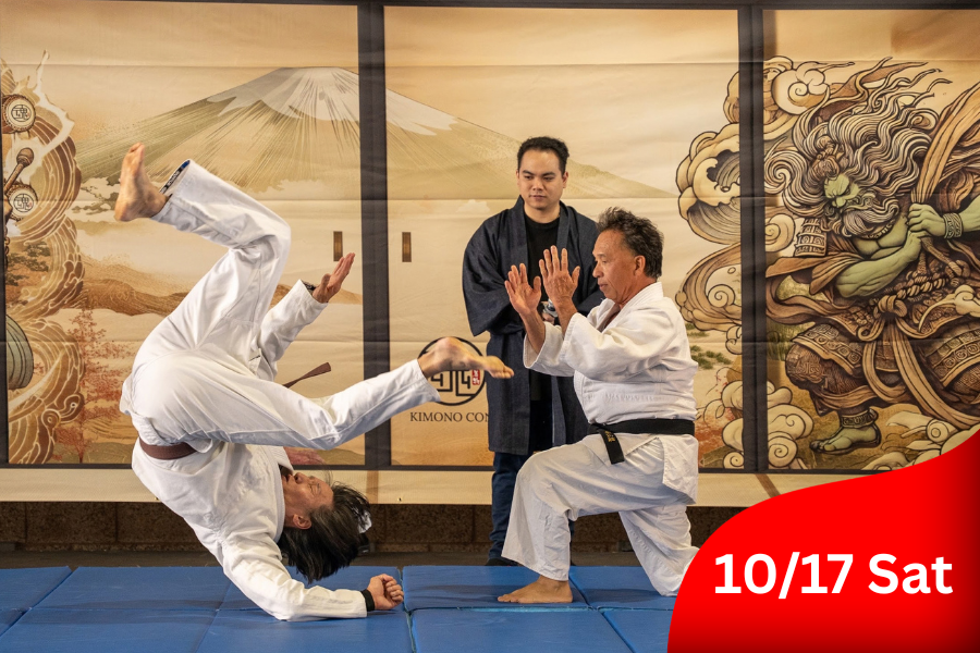 Aikido Performance &amp; Workshop