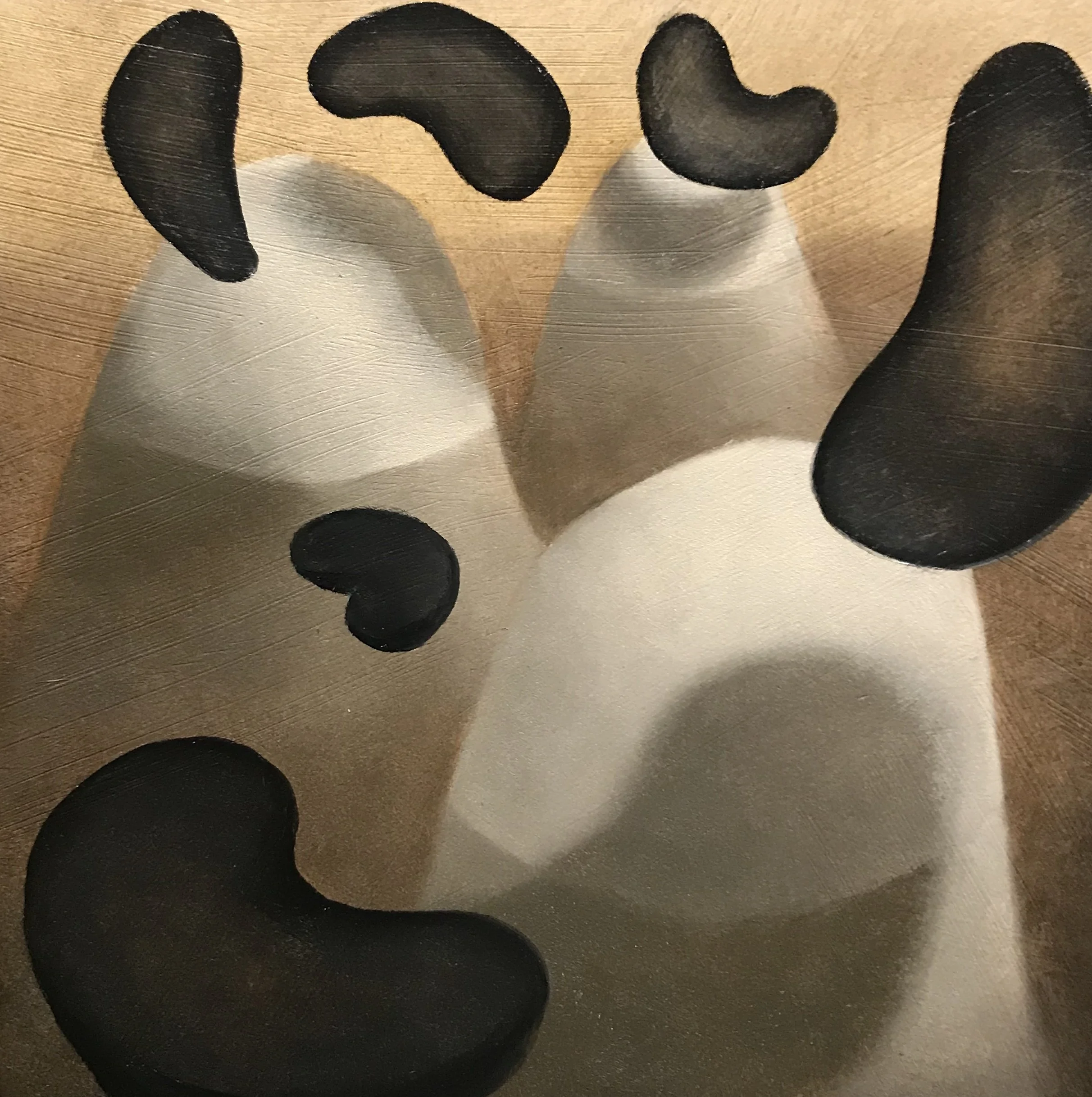 26 memory of weather patterns.jpg