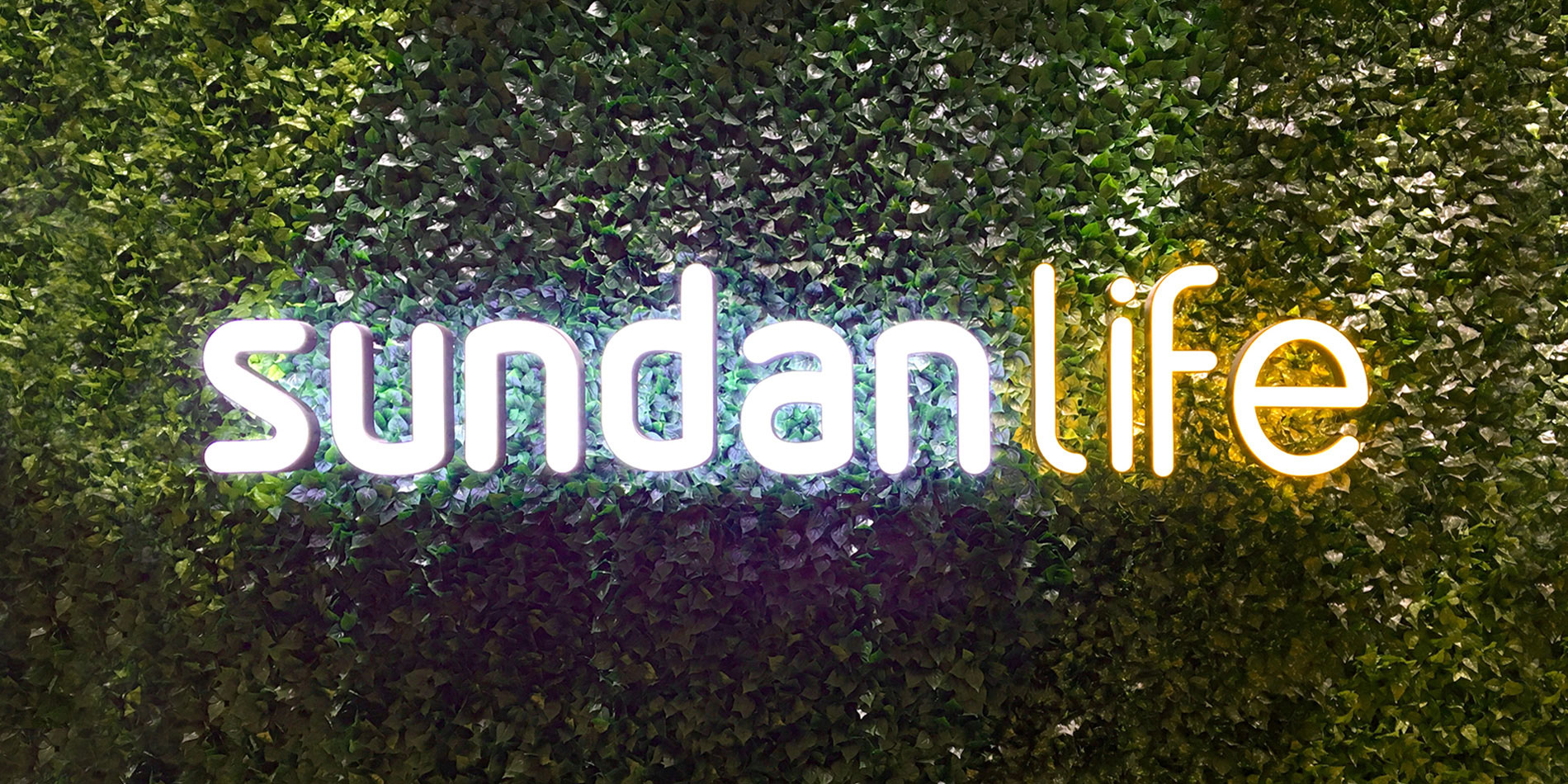 Sundan_life_018.jpg