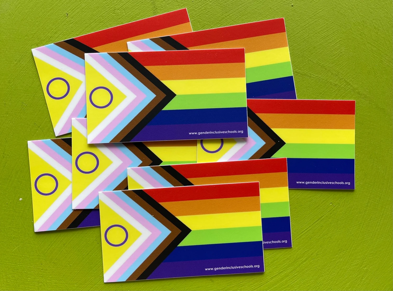Progress Pride Flag Vinyl Sticker Gender Inclusive Schools