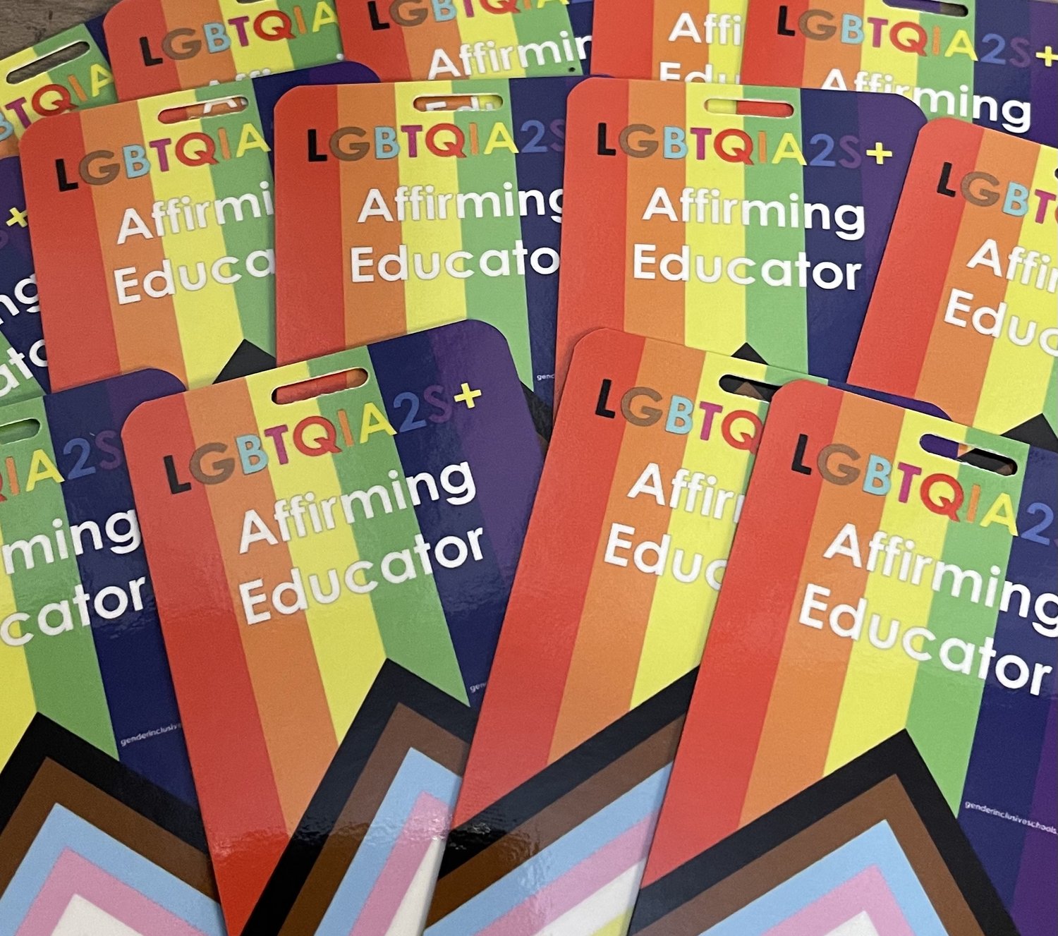 LGBTQIA2S+ Safe Educator Badge — Gender Inclusive Schools