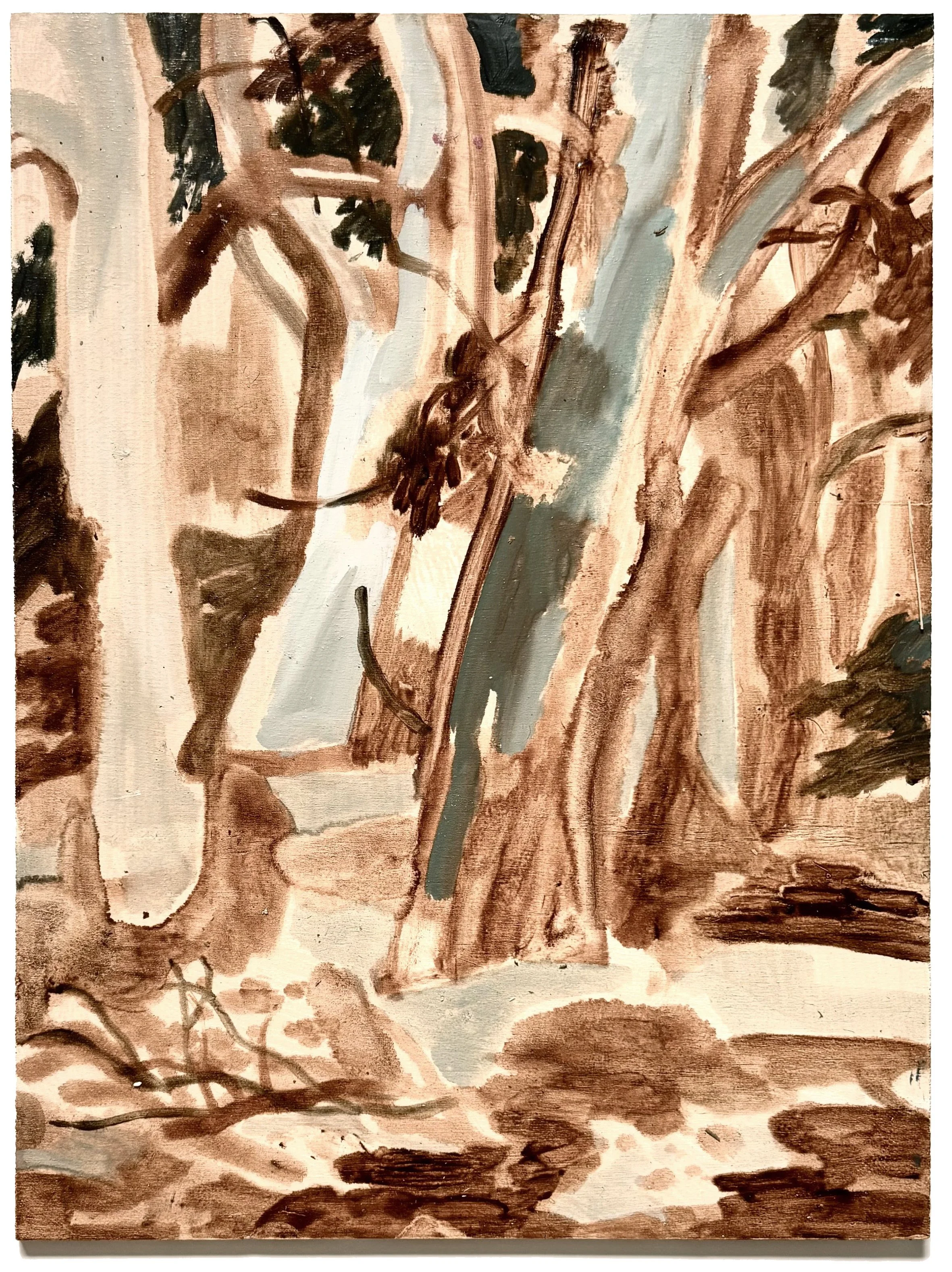 on the way to the waterfull