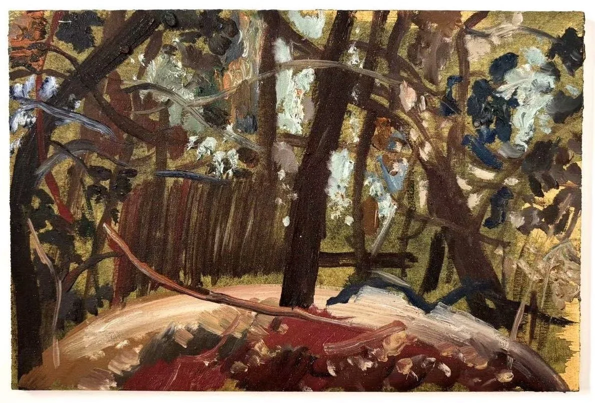 night forest