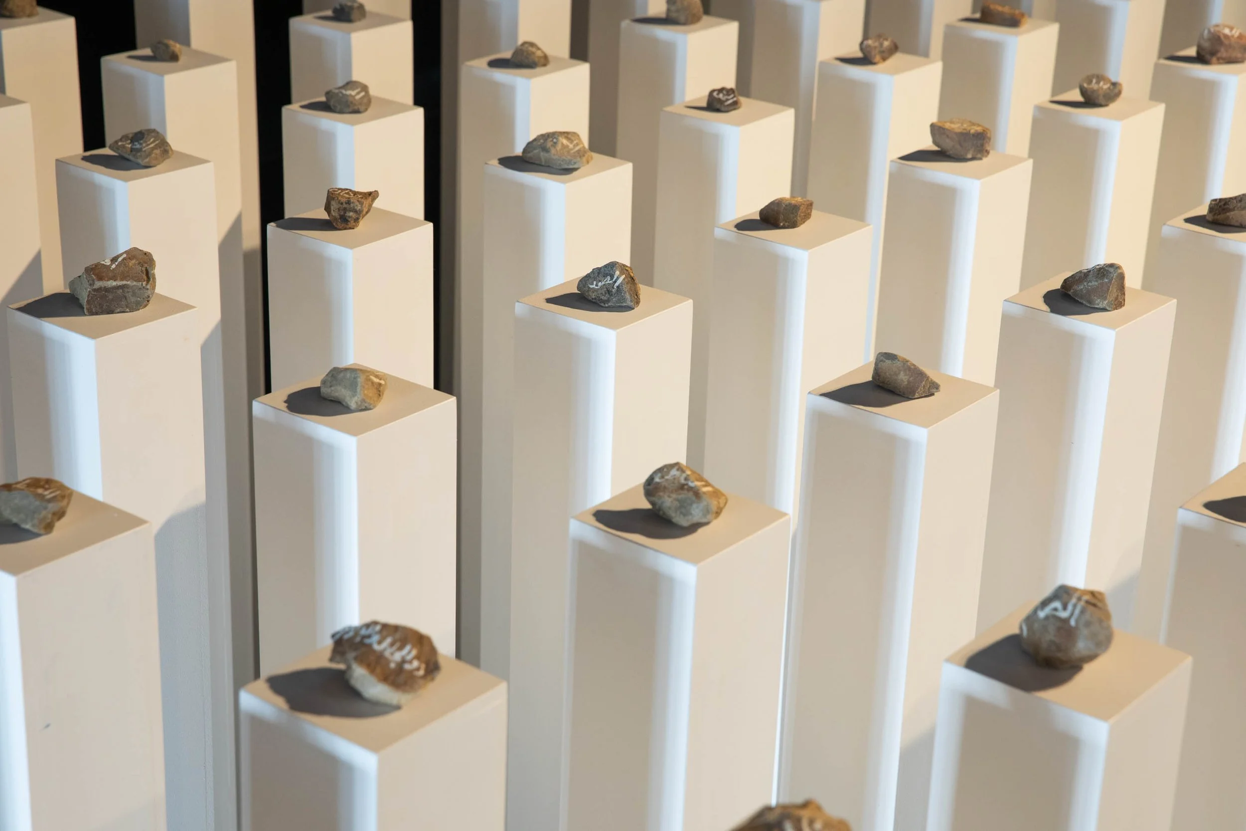 Counihan opening 10.05.25-7.jpg