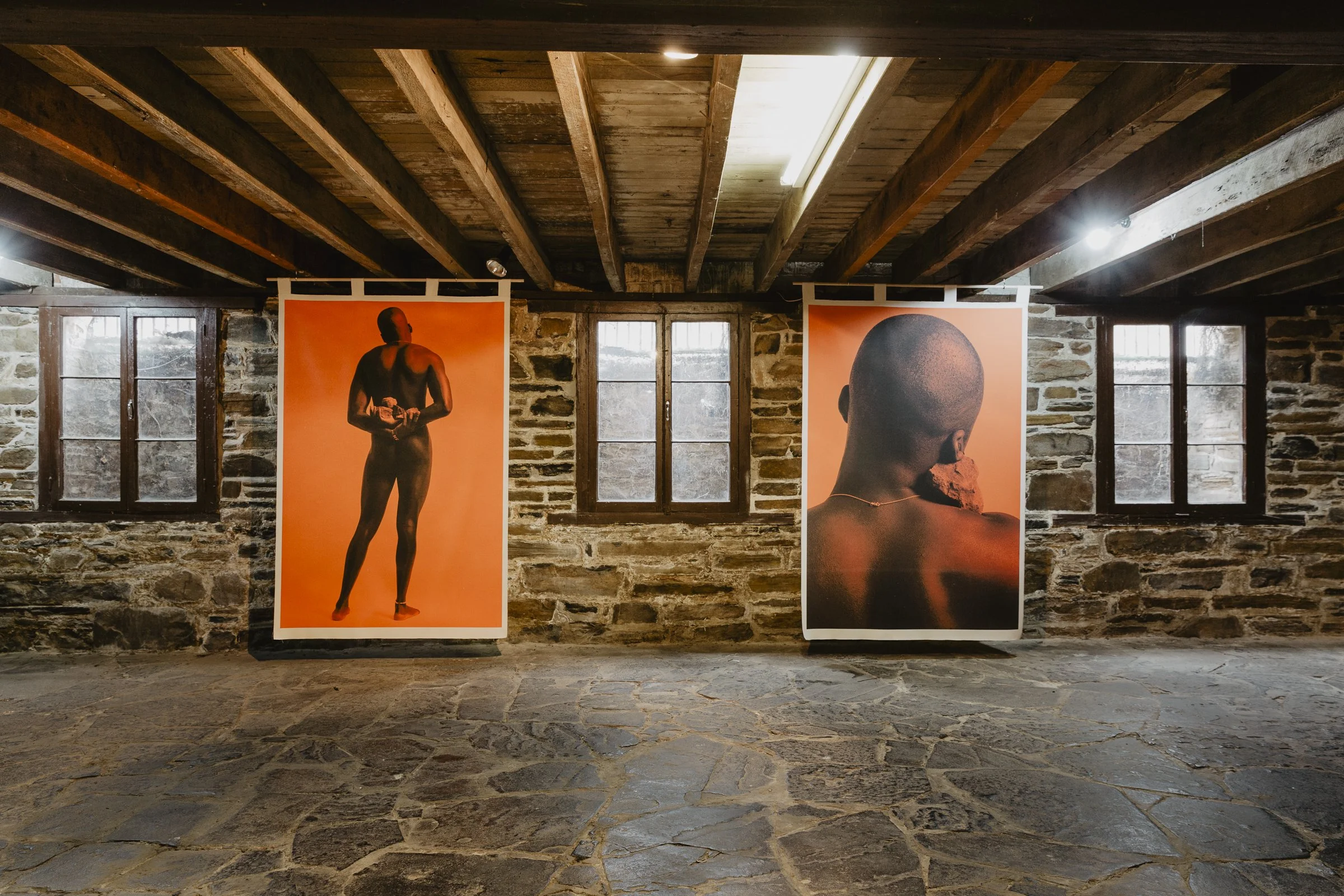 The cellar