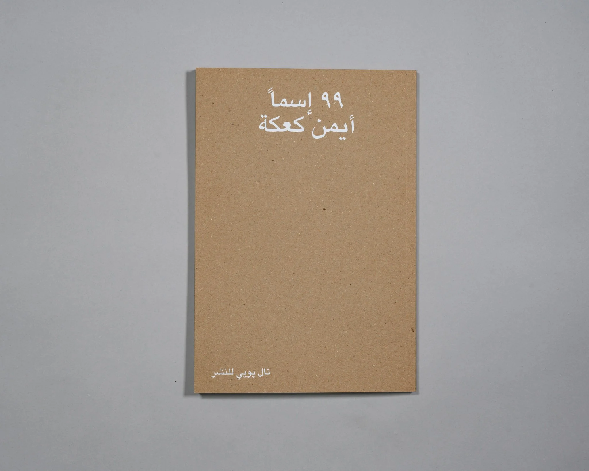 99Names_AymanKaake_Book_PublishedBy_Tall_Poppy_Press_2.jpg