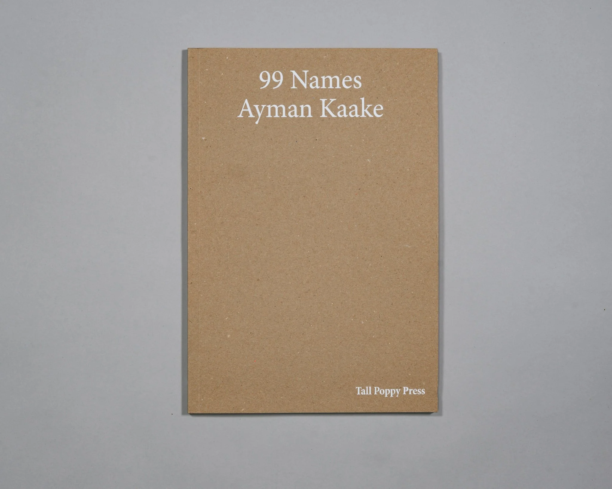 99Names_AymanKaake_Book_PublishedBy_Tall_Poppy_Press_1.jpg