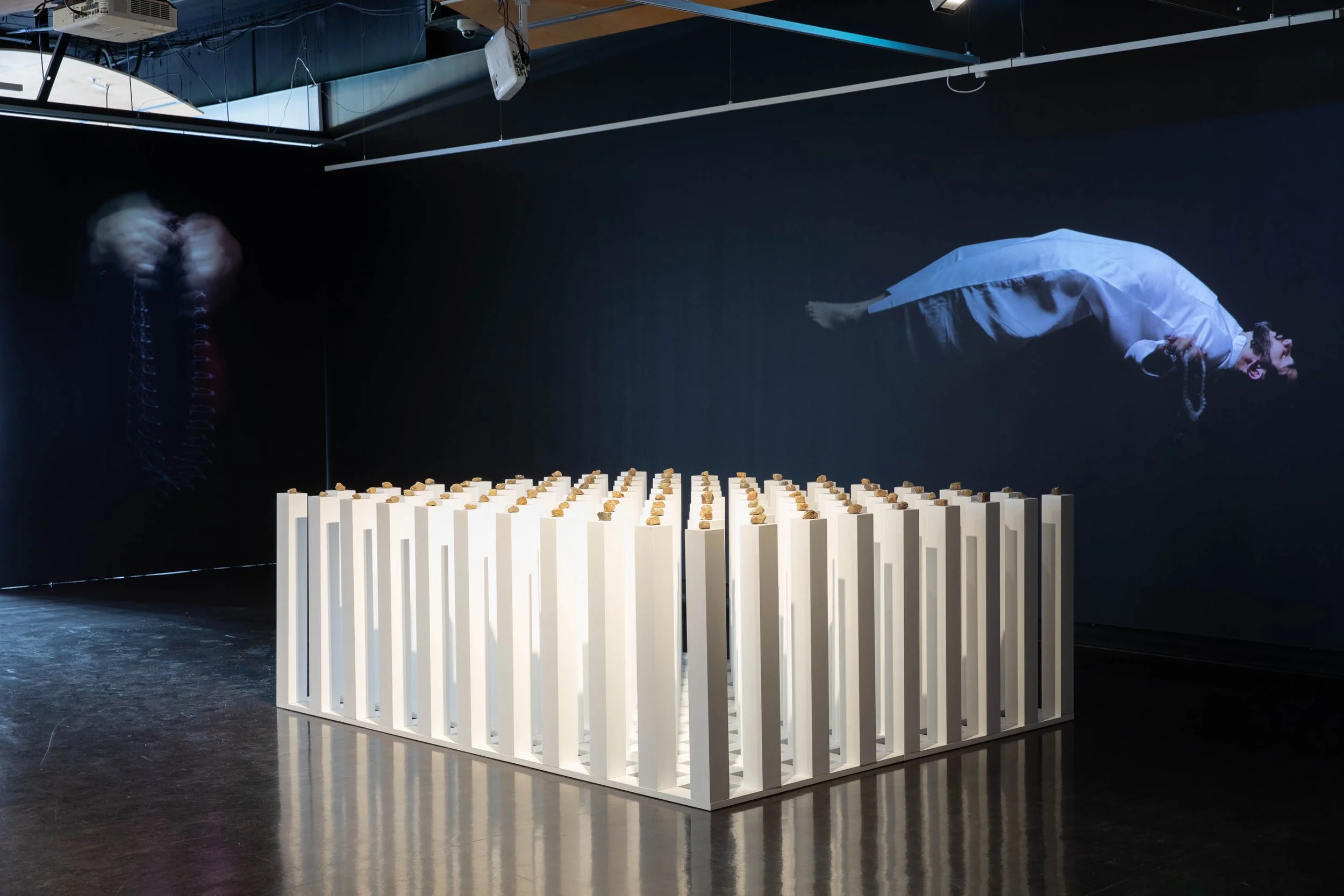 Counihan opening 10.05.25-5.jpg