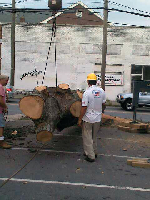 log-removal.jpg