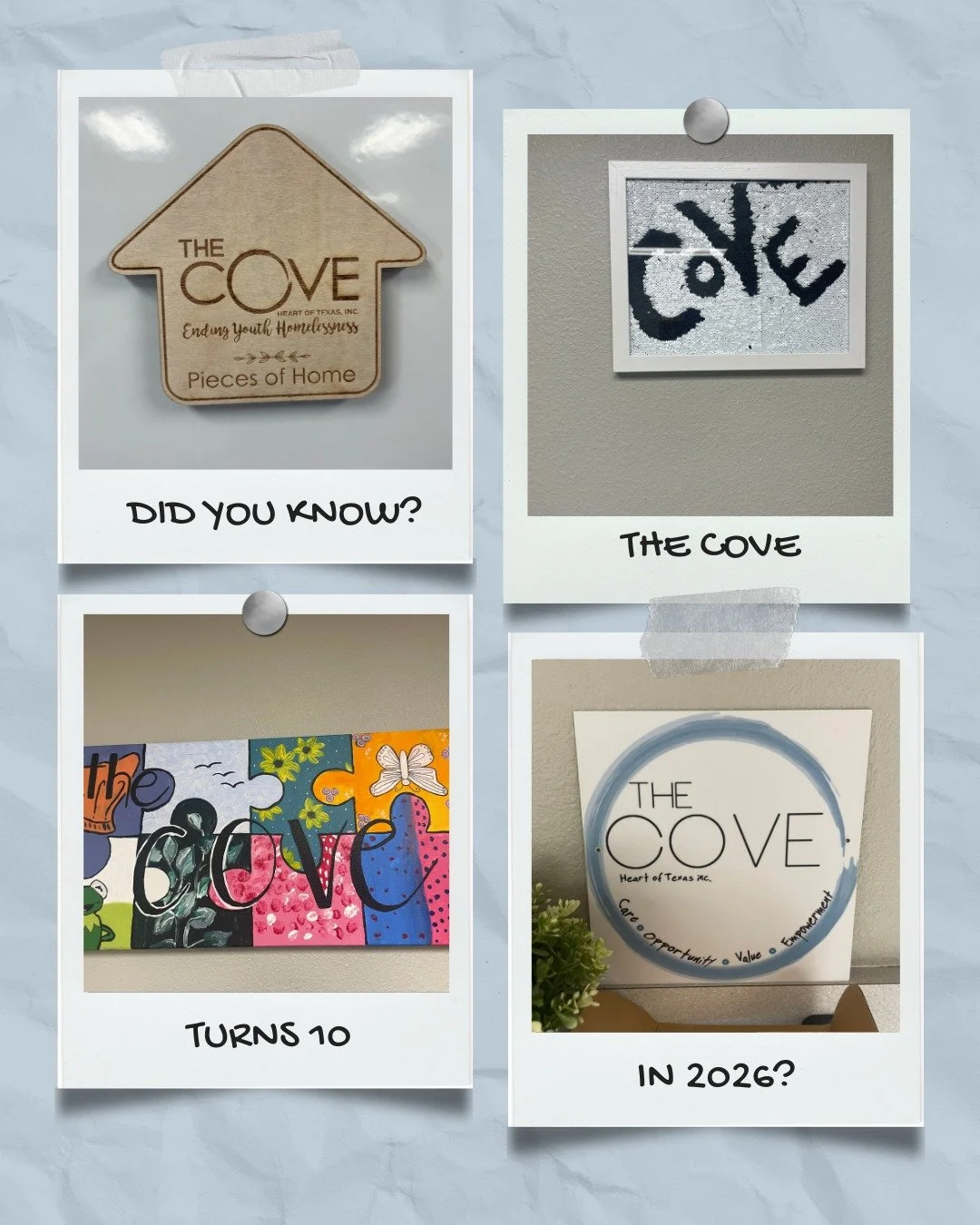 Mark your calendars for October 2026, because The Cove turns 10! Established in 2016 by Dr. Cheryl Pooler and Rosemary Townsend, The Cove was built to be a safe space where youth experiencing homelessness could be given a chance to thrive. 

Since th