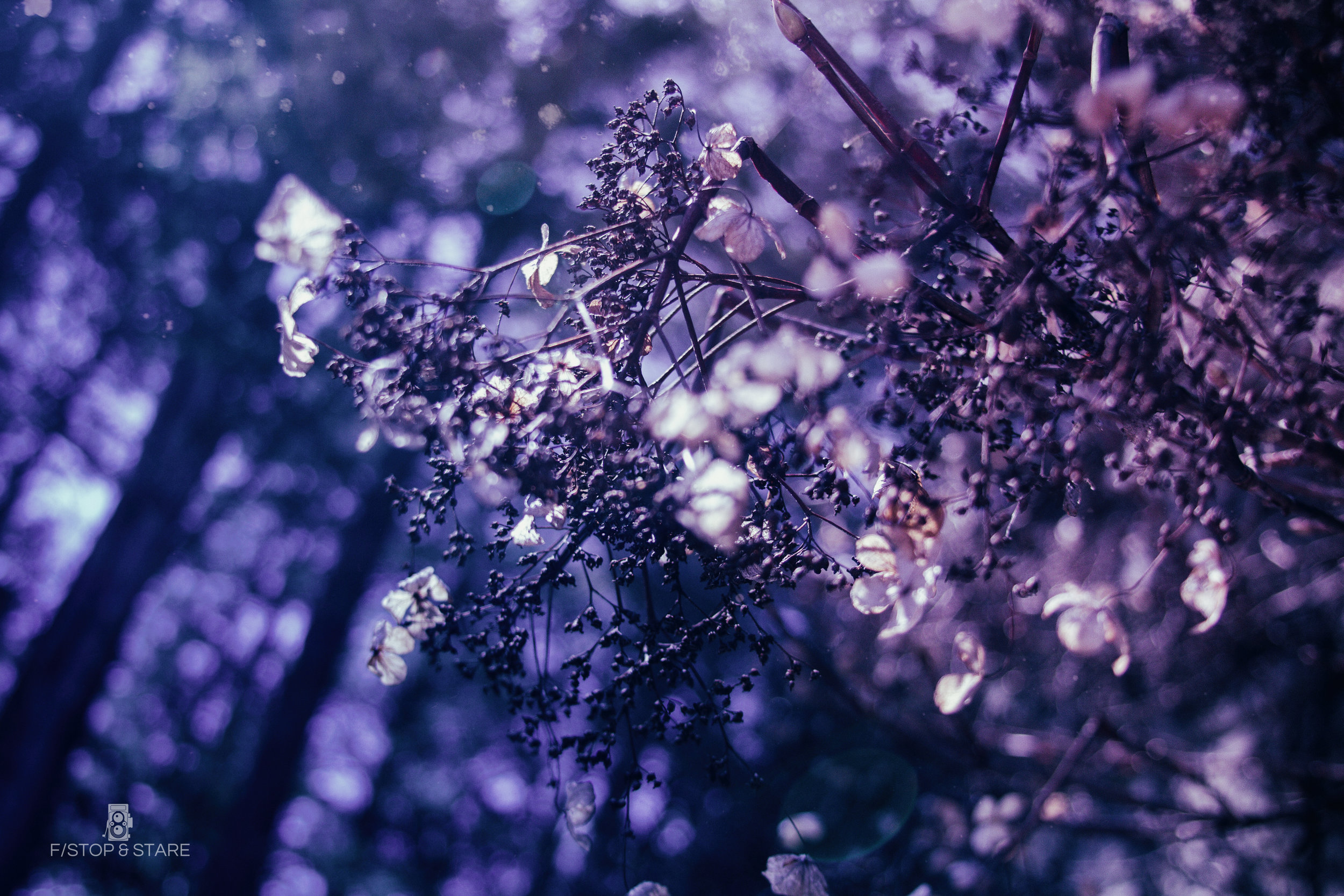 IMG_6914-Edit.jpg