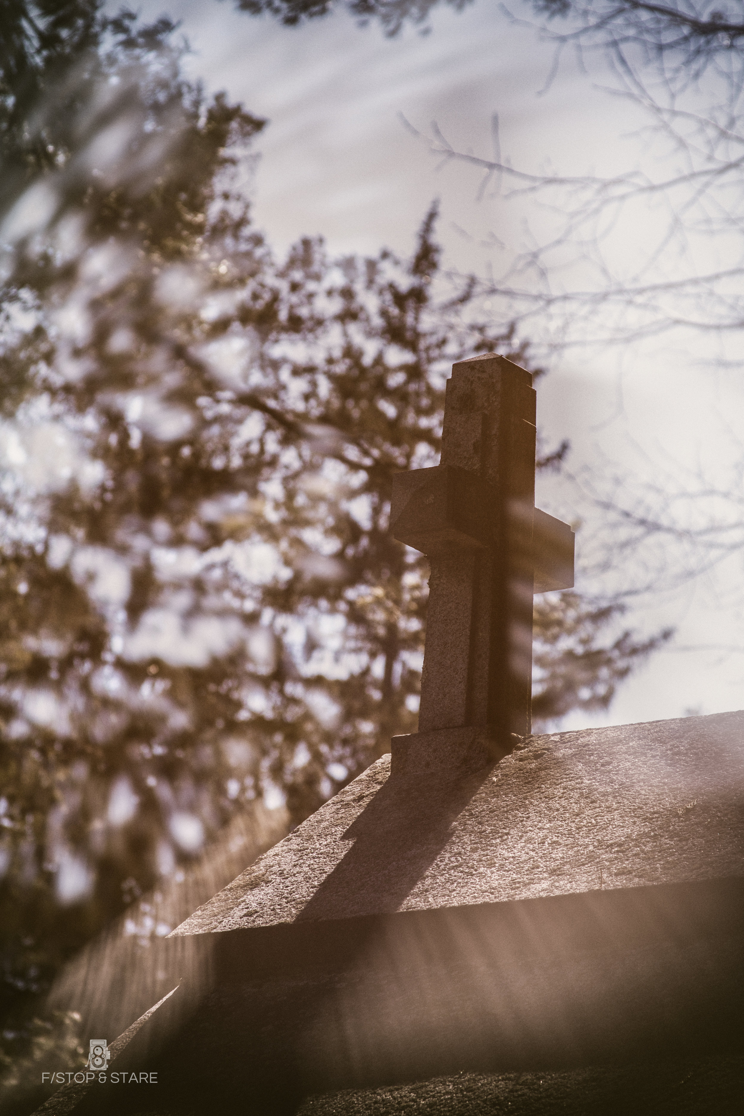 IMG_6950-Edit.jpg