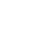 Strategic_Icon (white).png