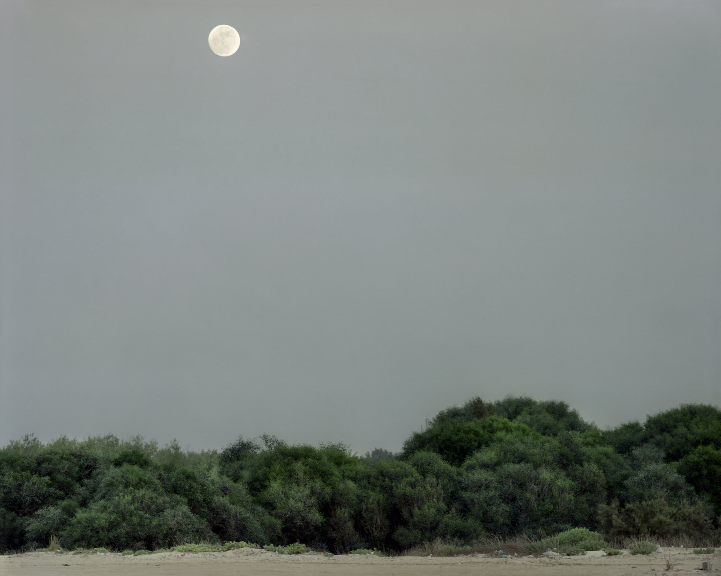 Full Moon, 2008