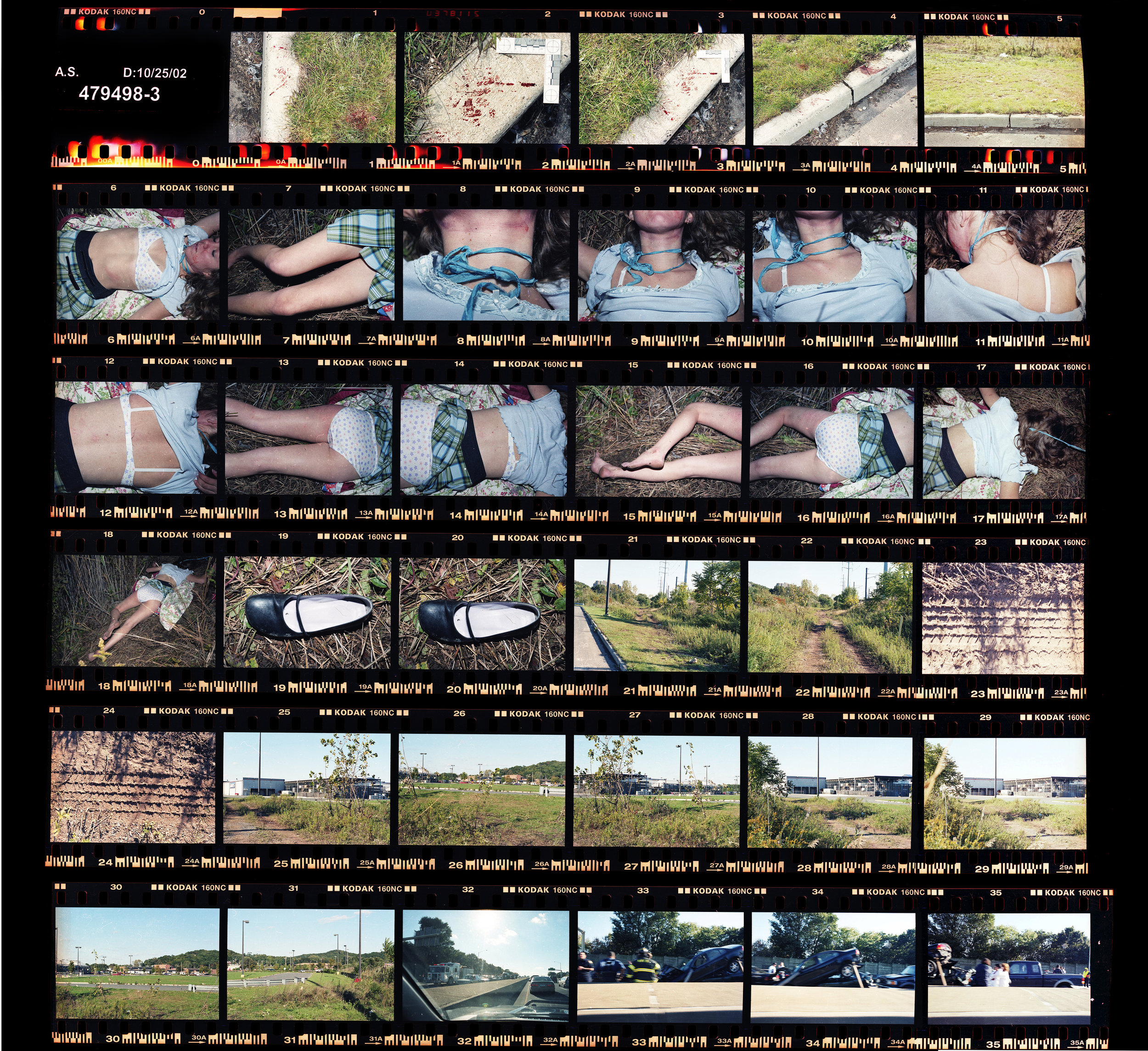 FILM STRIP_14x12_300.jpg