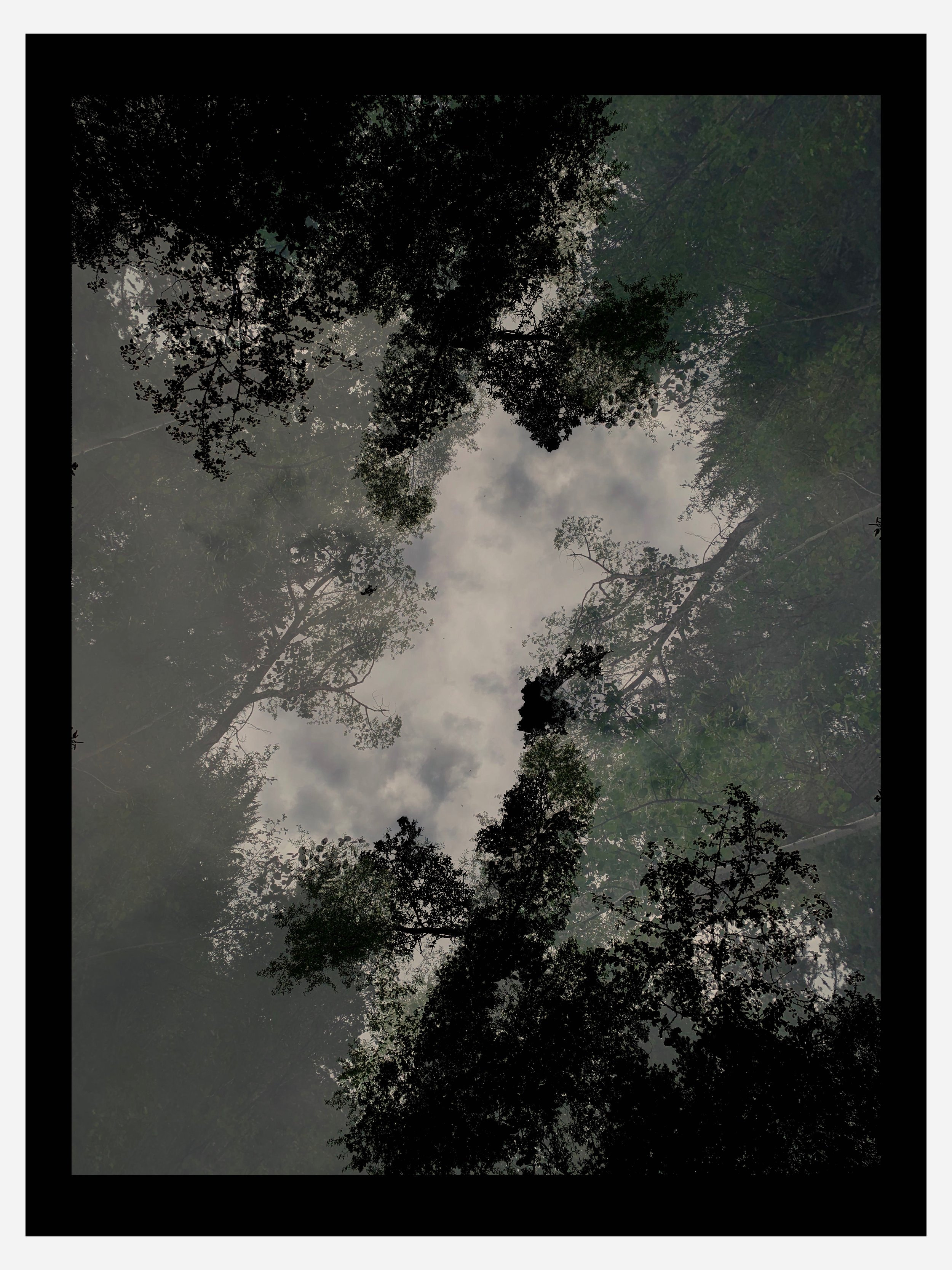 Portfolio15.jpeg