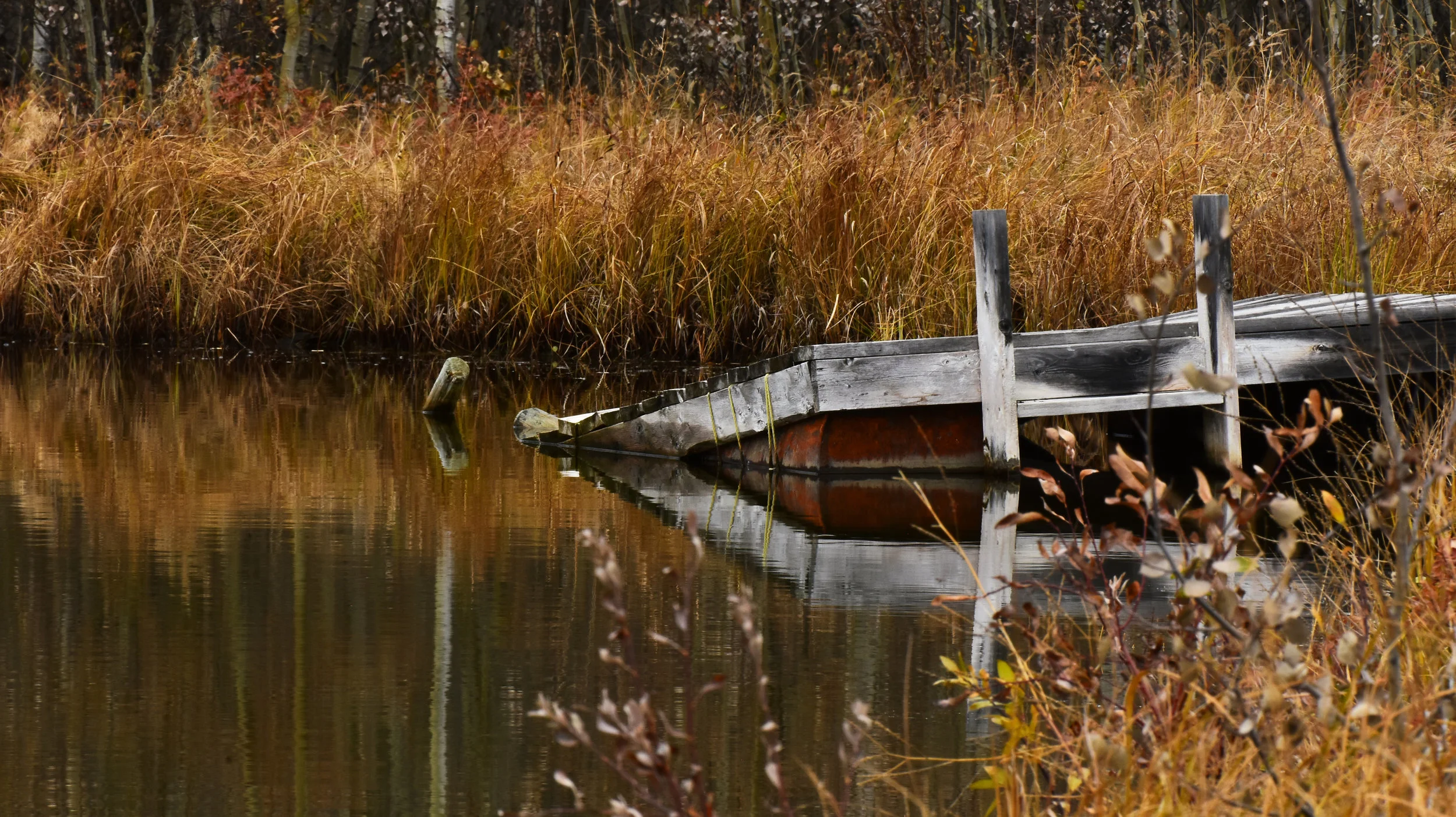 Inspecting and Maintaining Lake and Pond Docks