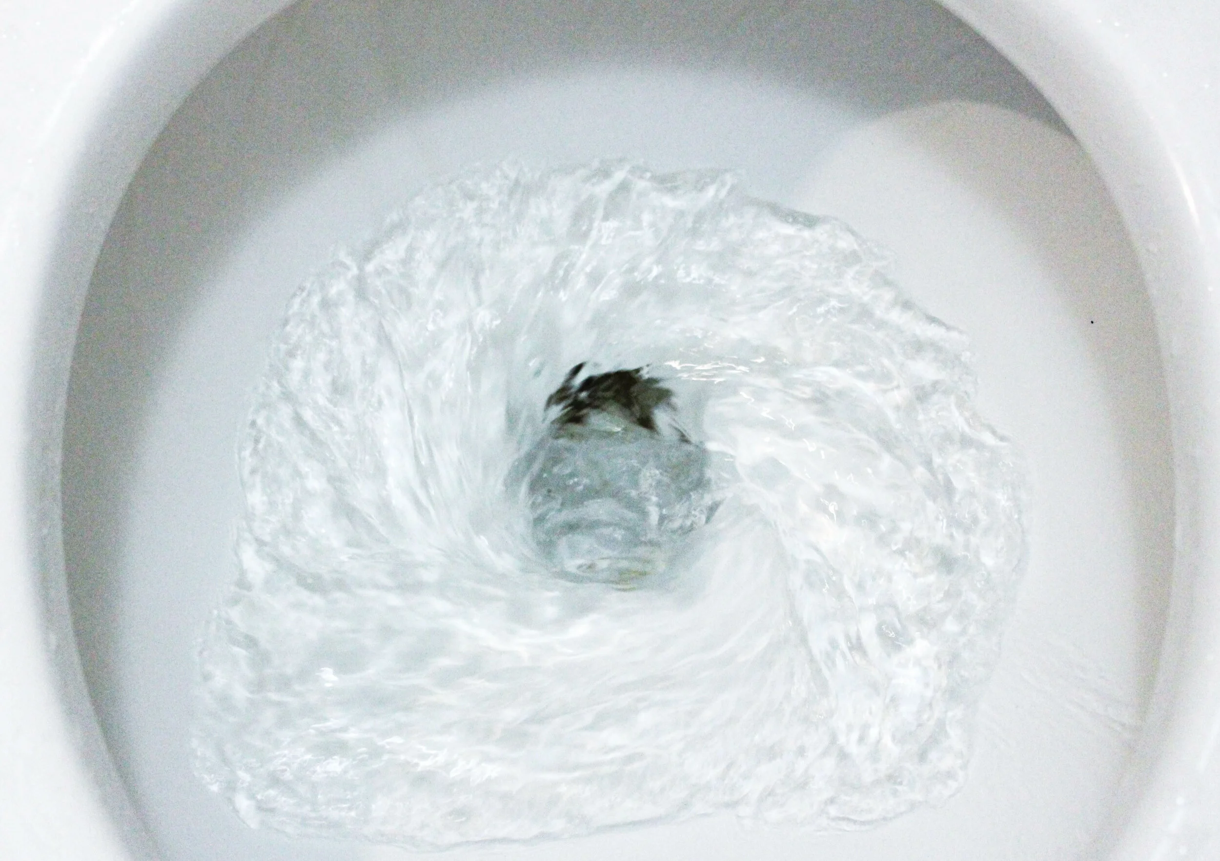 News Release: Only Flush: Poo, Pee, & Paper (Toilet)