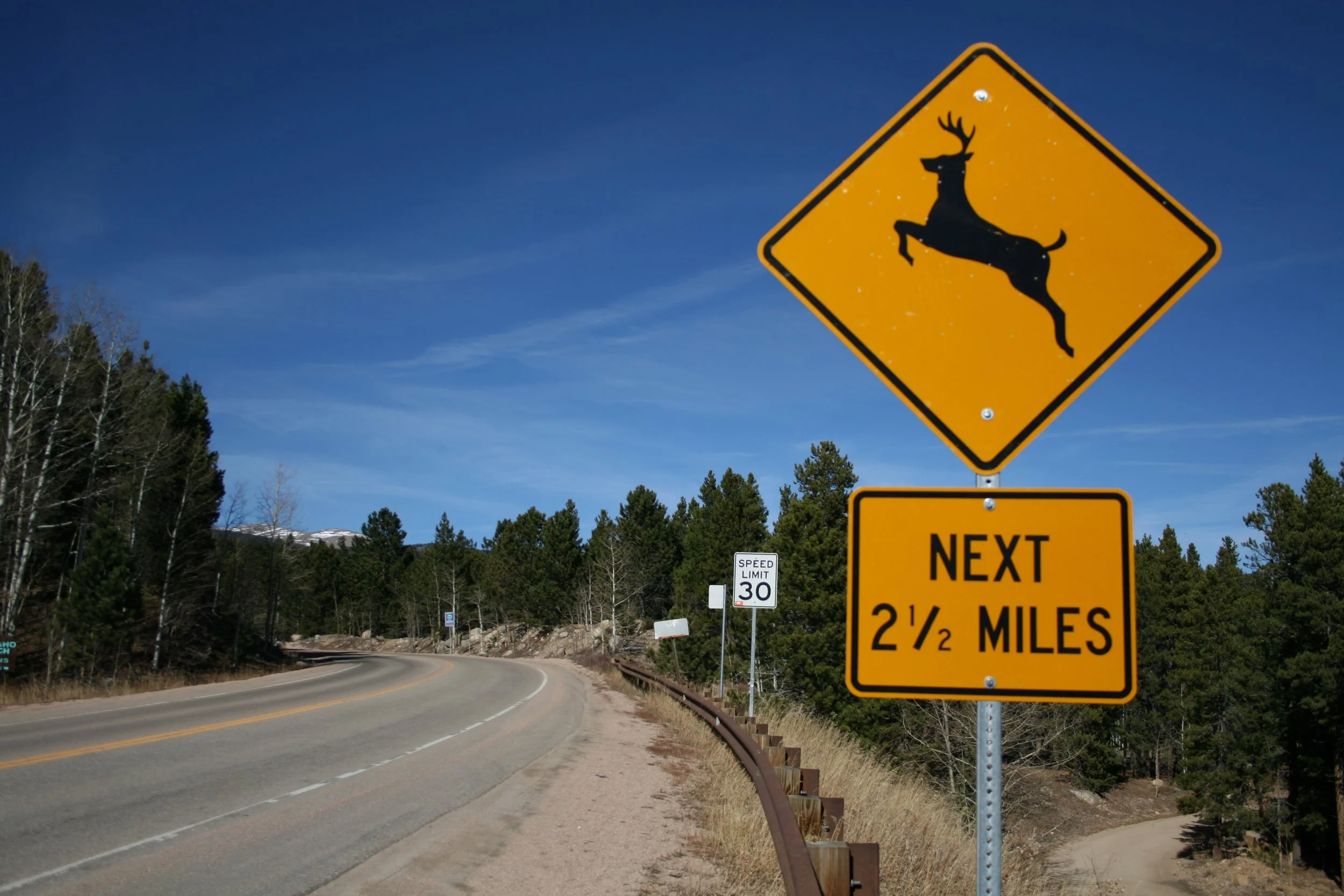 Tips for Avoiding a Deer Collision