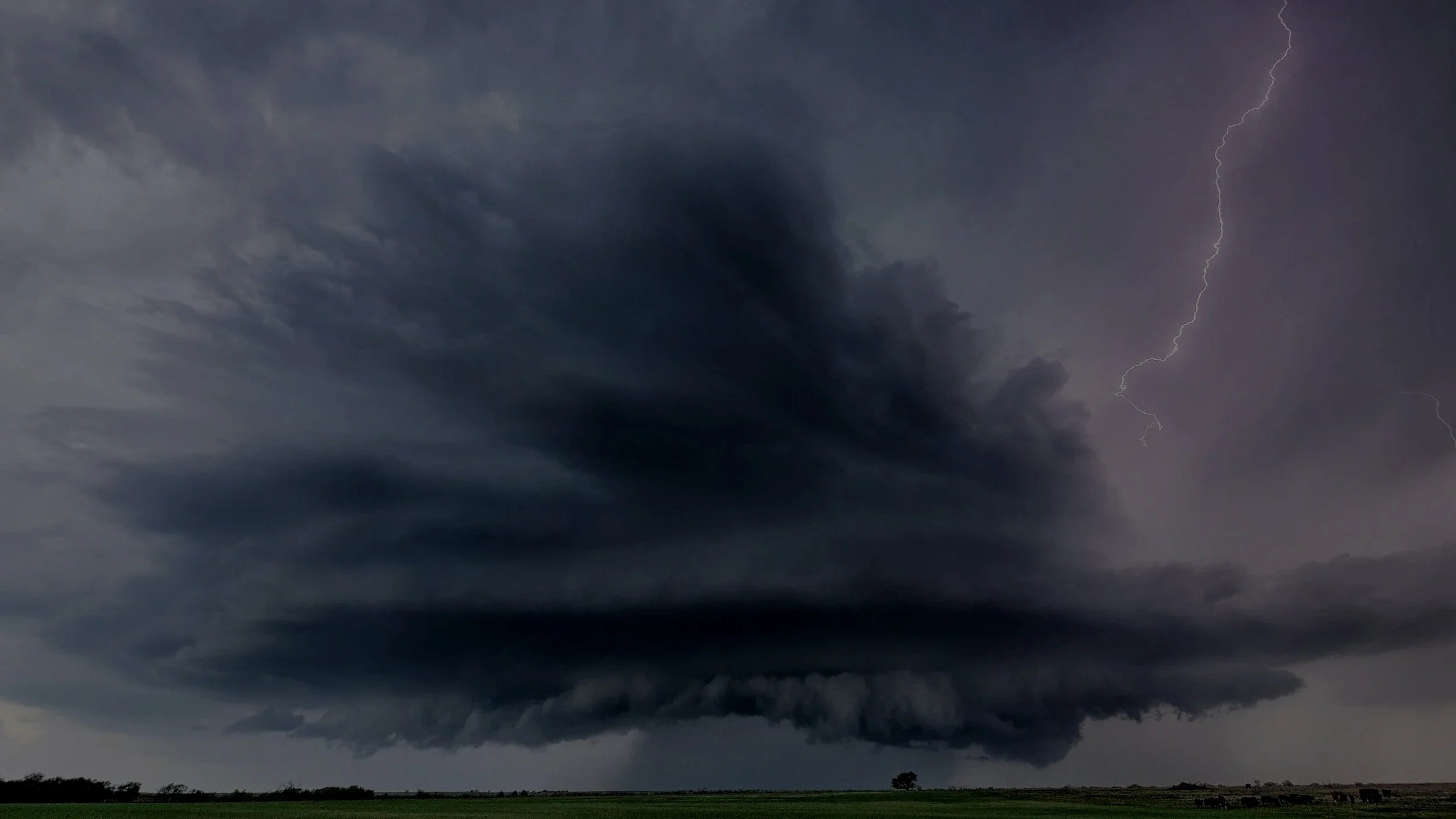 ODEQ Training (Copy)