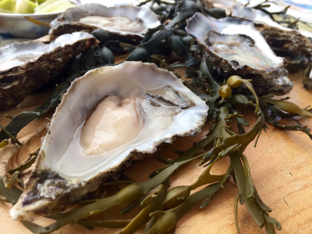 Photo Credit: Anna Bryant Oysters, Cava, & Irish Soda Bread from the oyster bar at the Temple Bar Food Market in Dublin