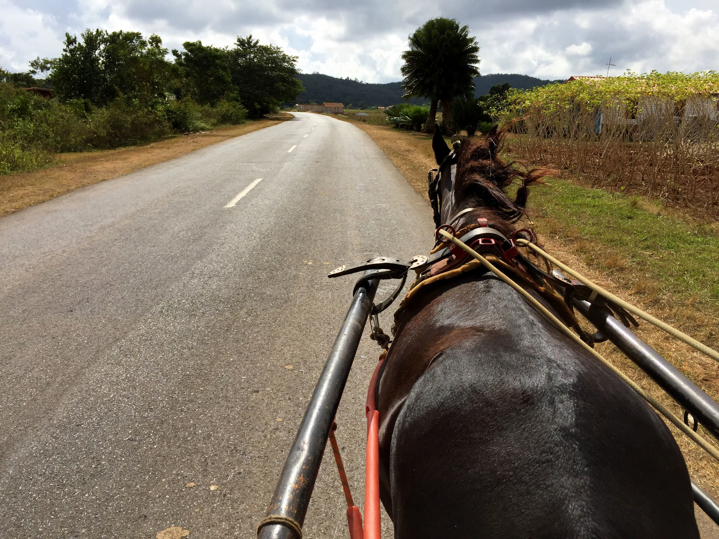 Photo Credit: Anna Bryant there is always the possibility to get picked up on the side of the road