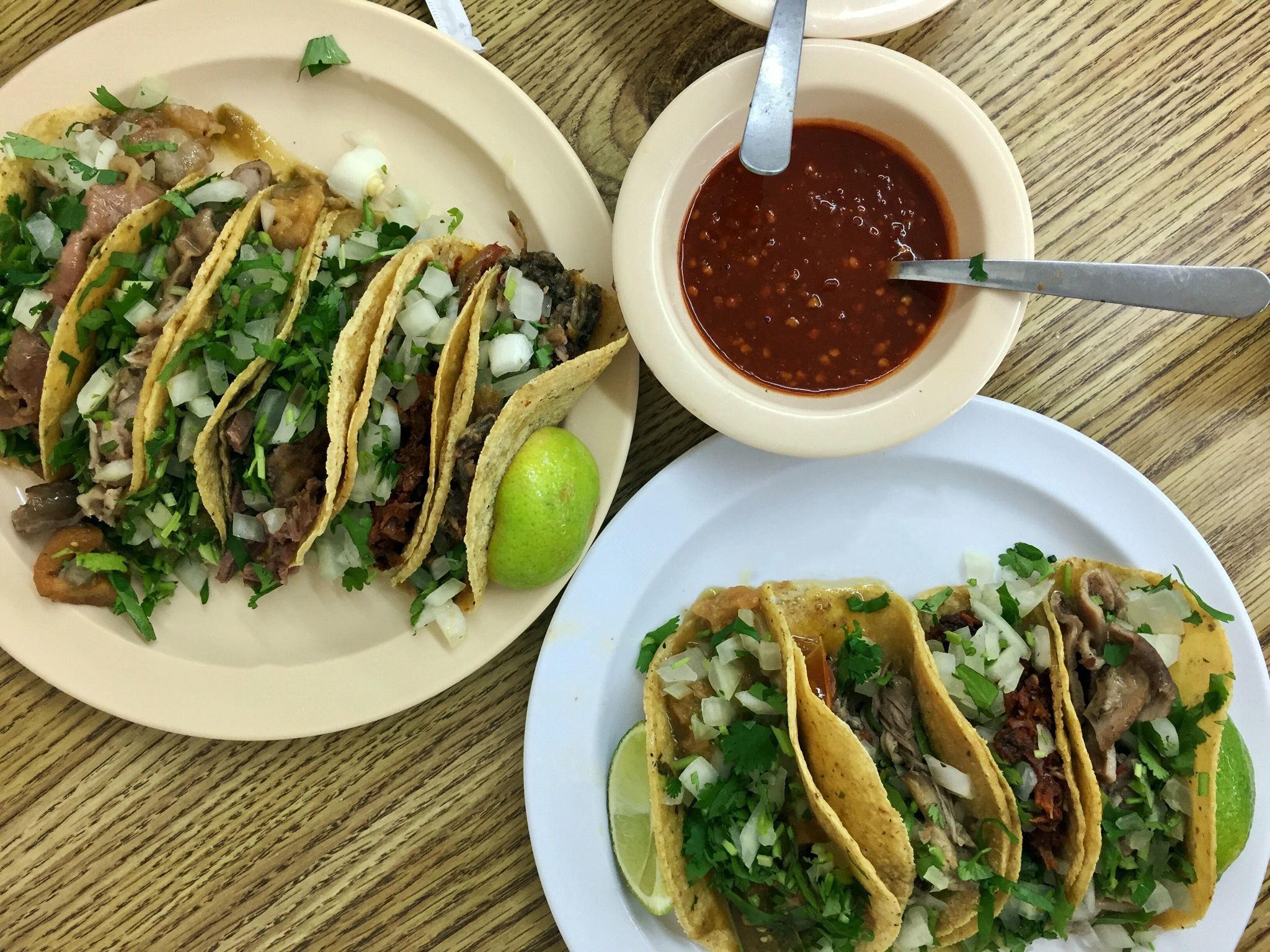 Photo Credit: Anna Bryant 118 S Carroll Ave, Dallas, TX 75226