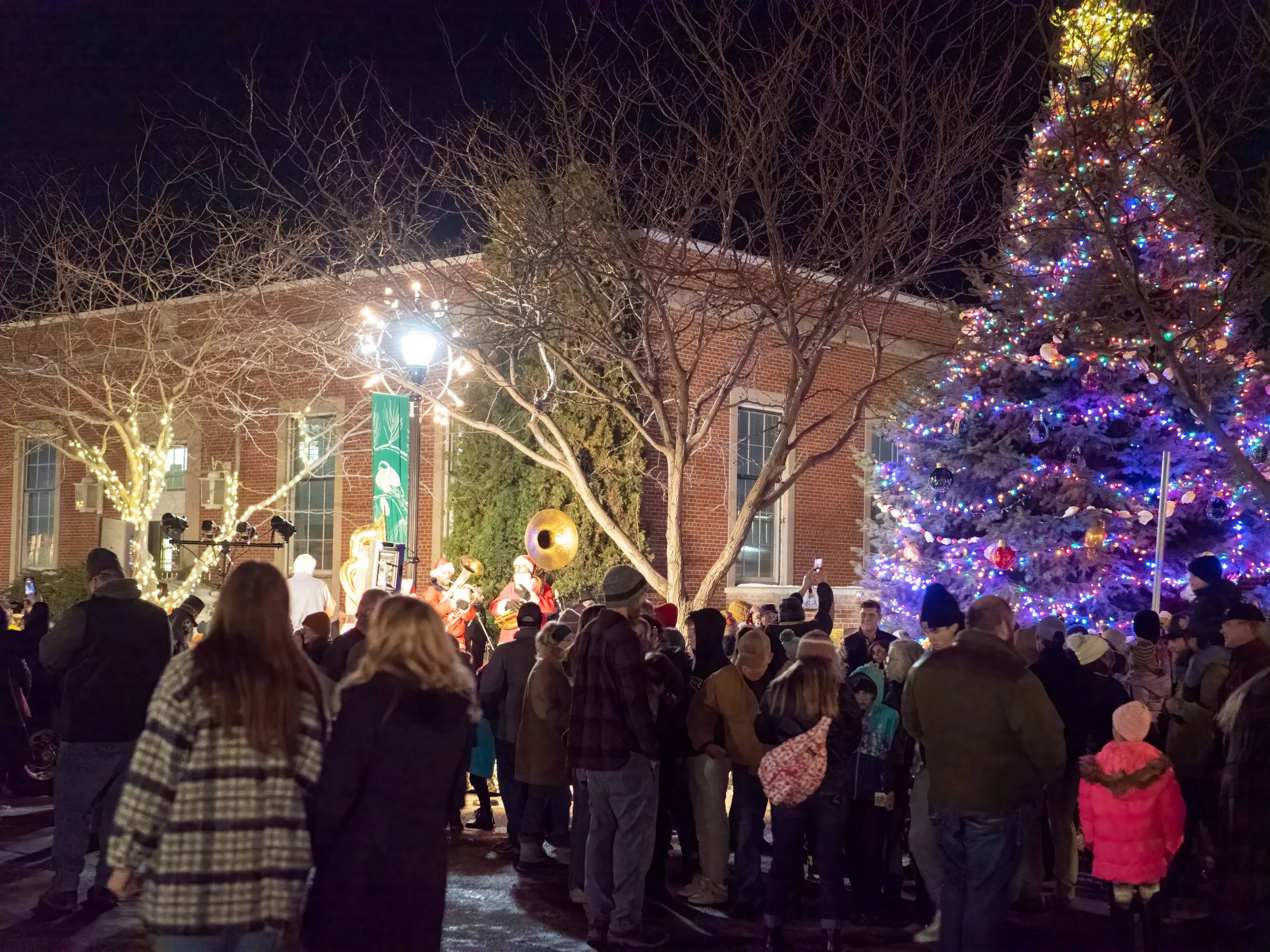Christmas in Hamilton