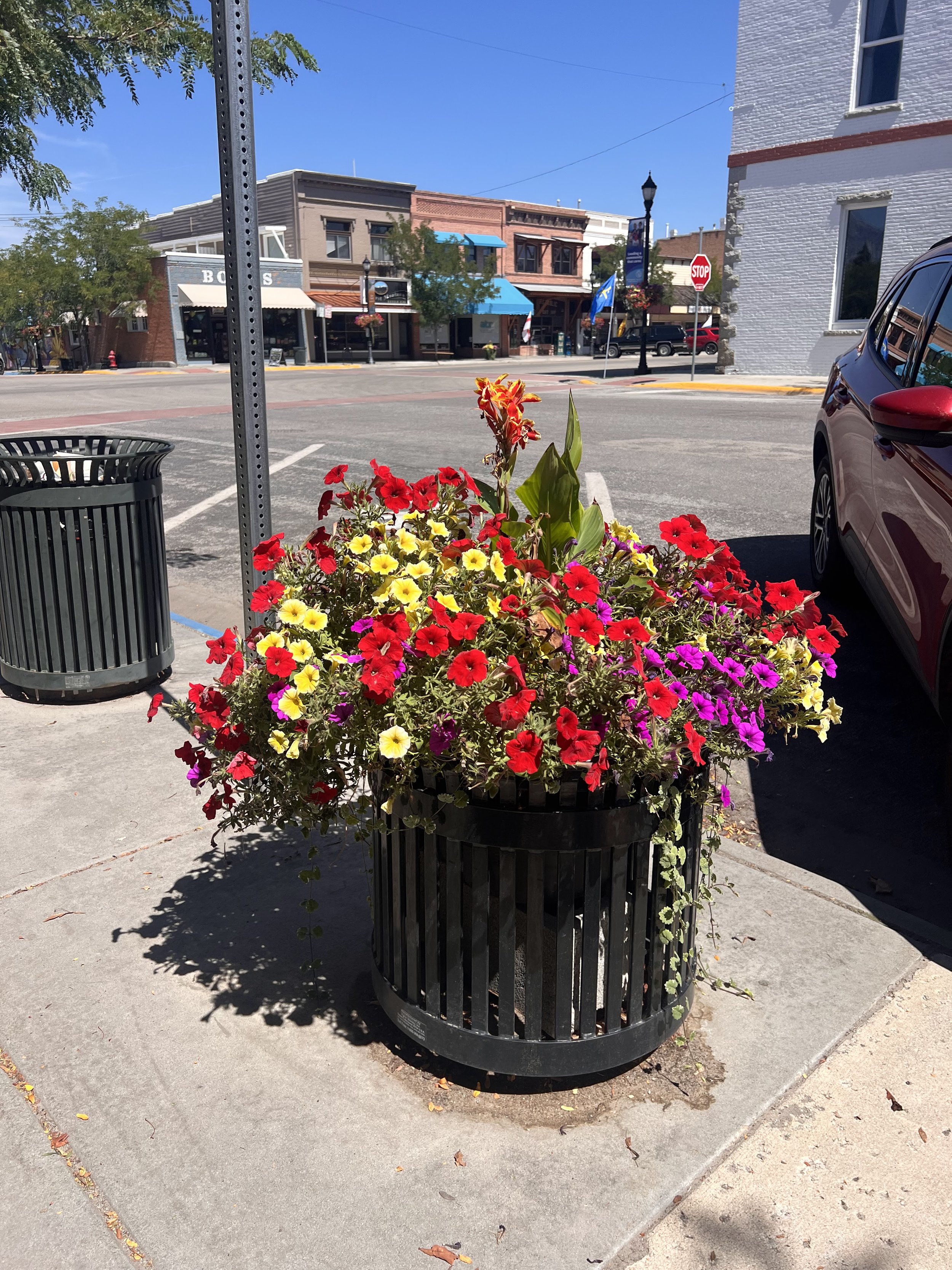 Flower Basket Program
