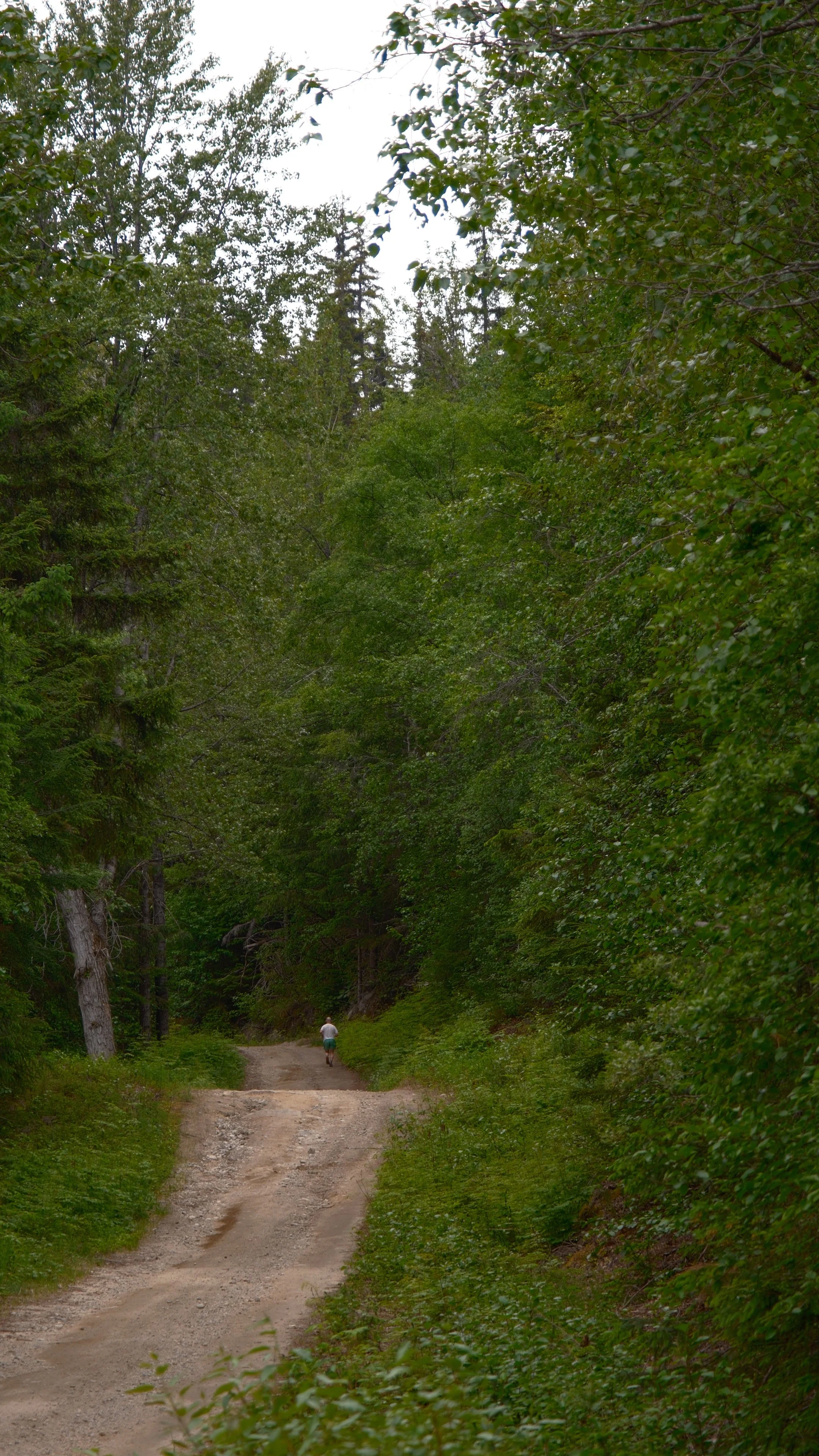 DSCF8887.jpg