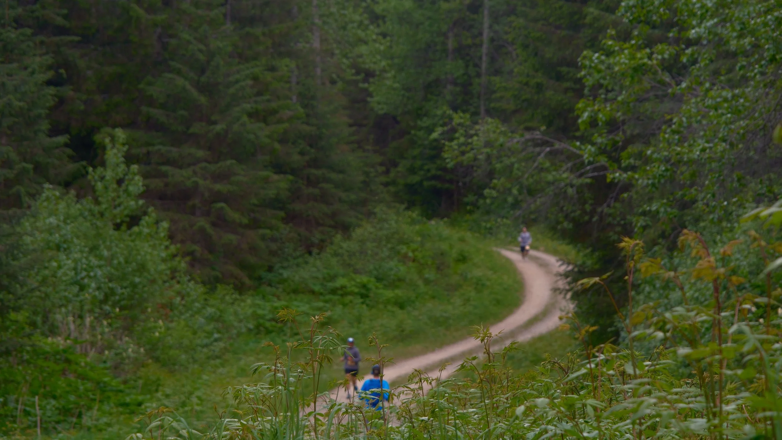DSCF9054.jpg
