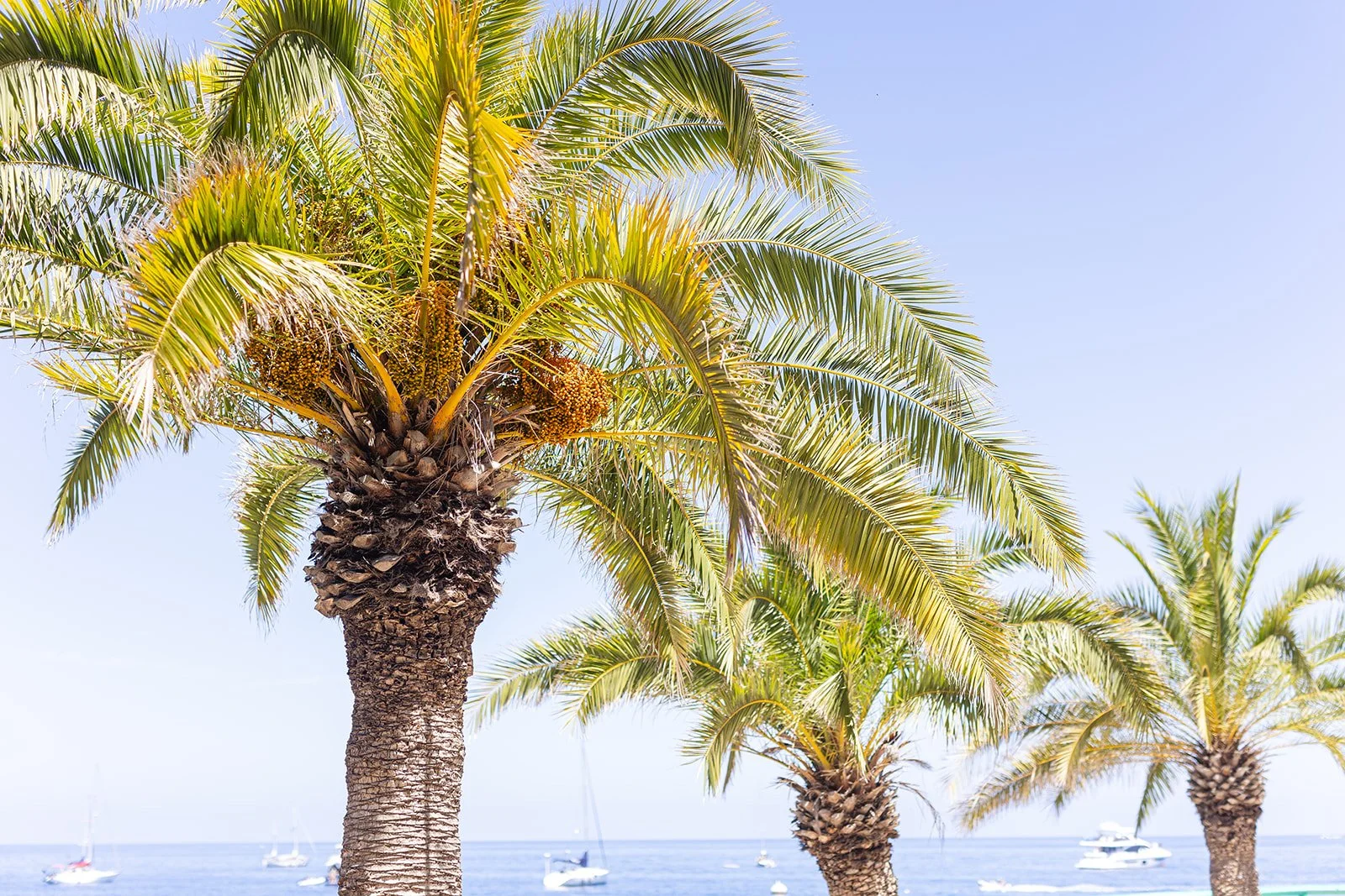 Vanessa and Jeremy Vow Renewal 2023-245_websize.jpg