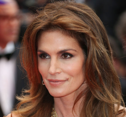 The Leaked Cindy Crawford Photo / Hollywood Reporter
