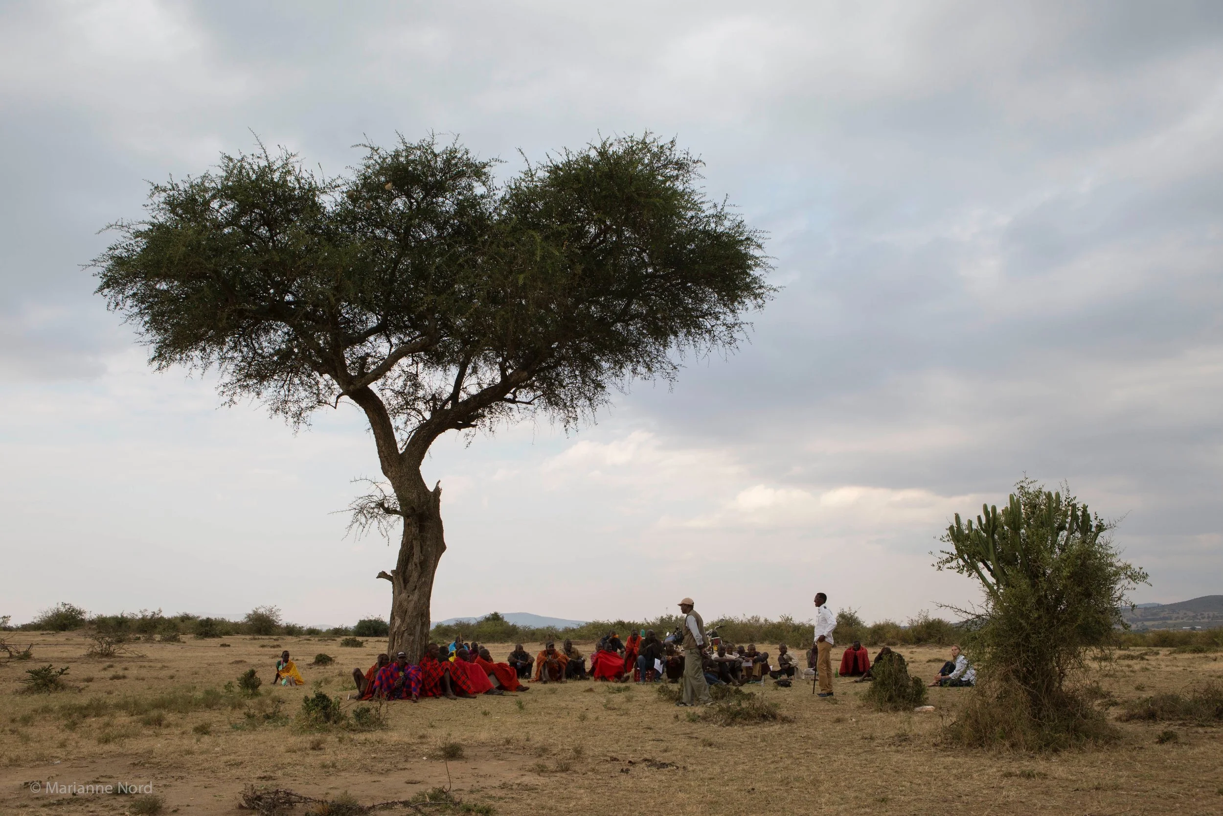 “Wildlife has been in free-fall across most of Africa. Only local people can reverse the downward spiral.” ~ Journal of Applied Ecology (2016)