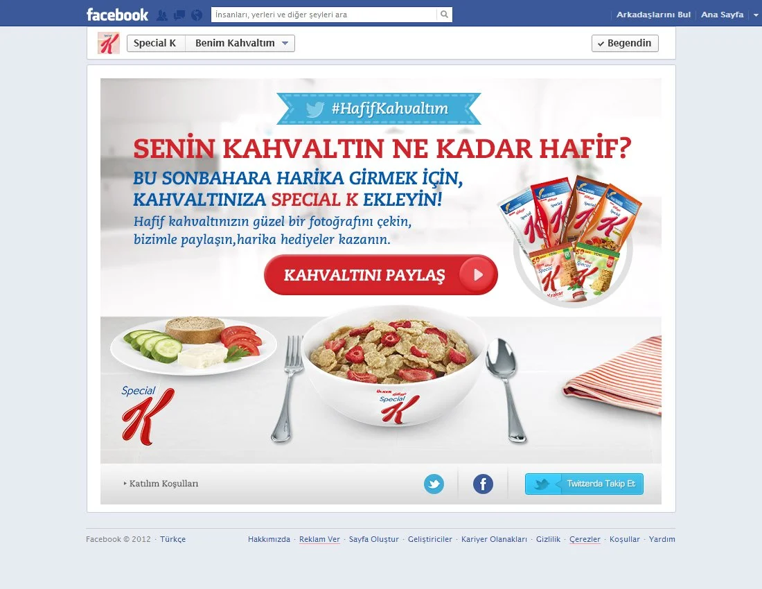 02_fan_page.jpg