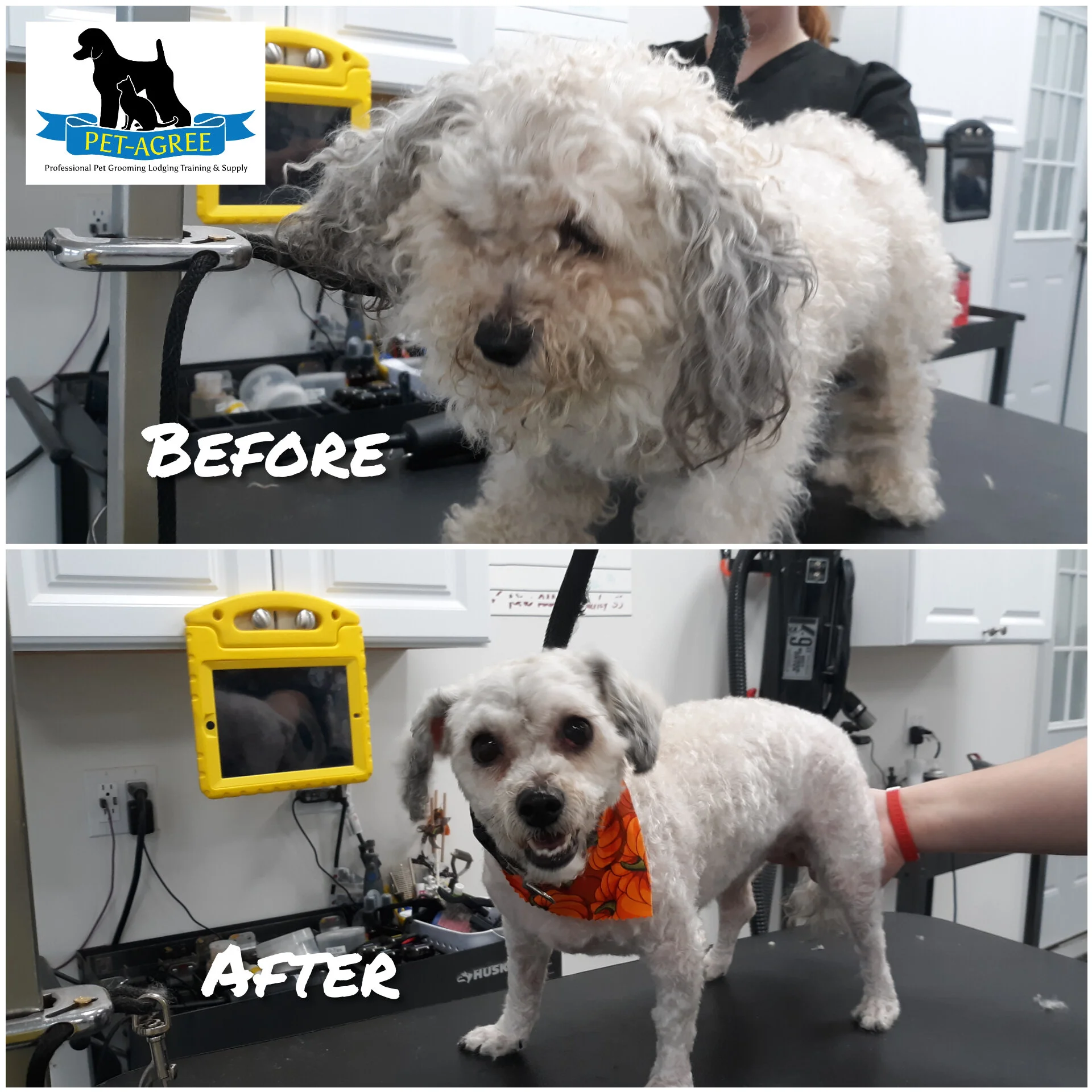 pet agree grooming supply