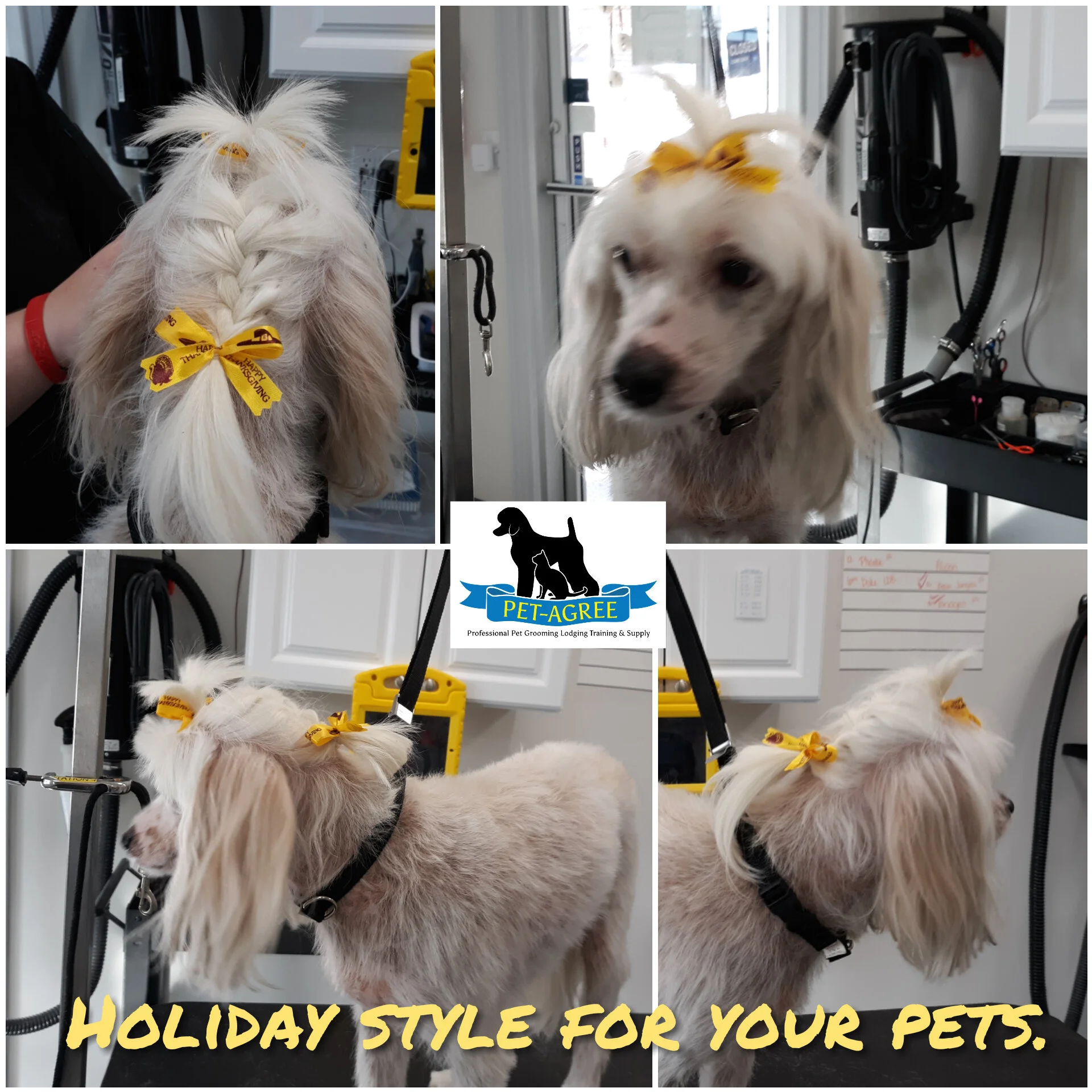 pet agree grooming supply