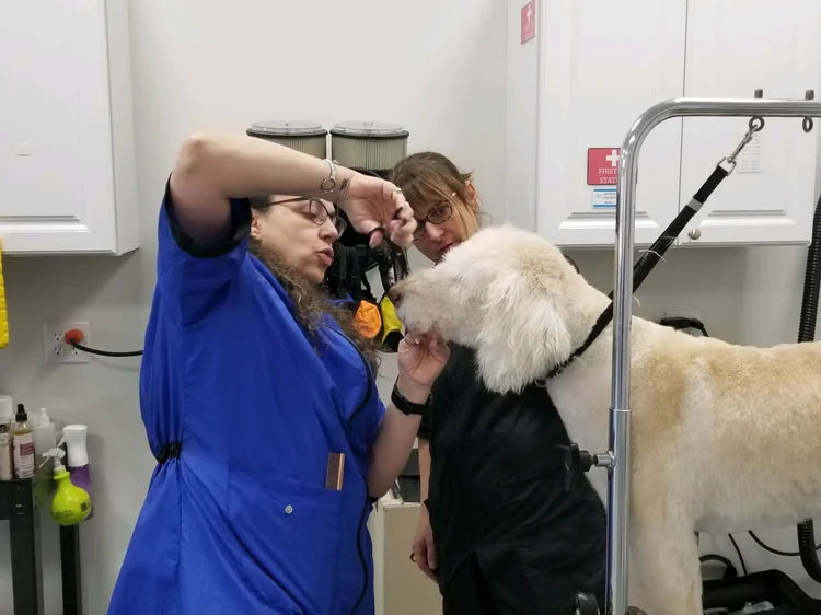 Dog Grooming — Pet-Agree Professional Services
