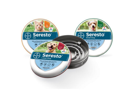 Dog, Cat, Pet, Flea, Flea control, Safe, Long lasting, Collar, local, USA