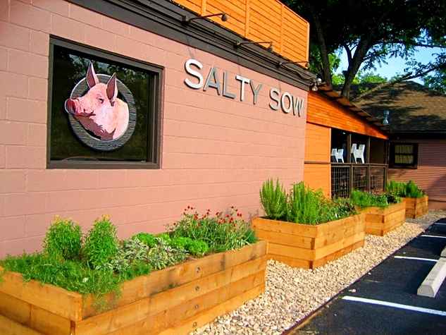 Salty Sow_3.jpg