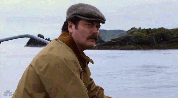 Swanson.gif