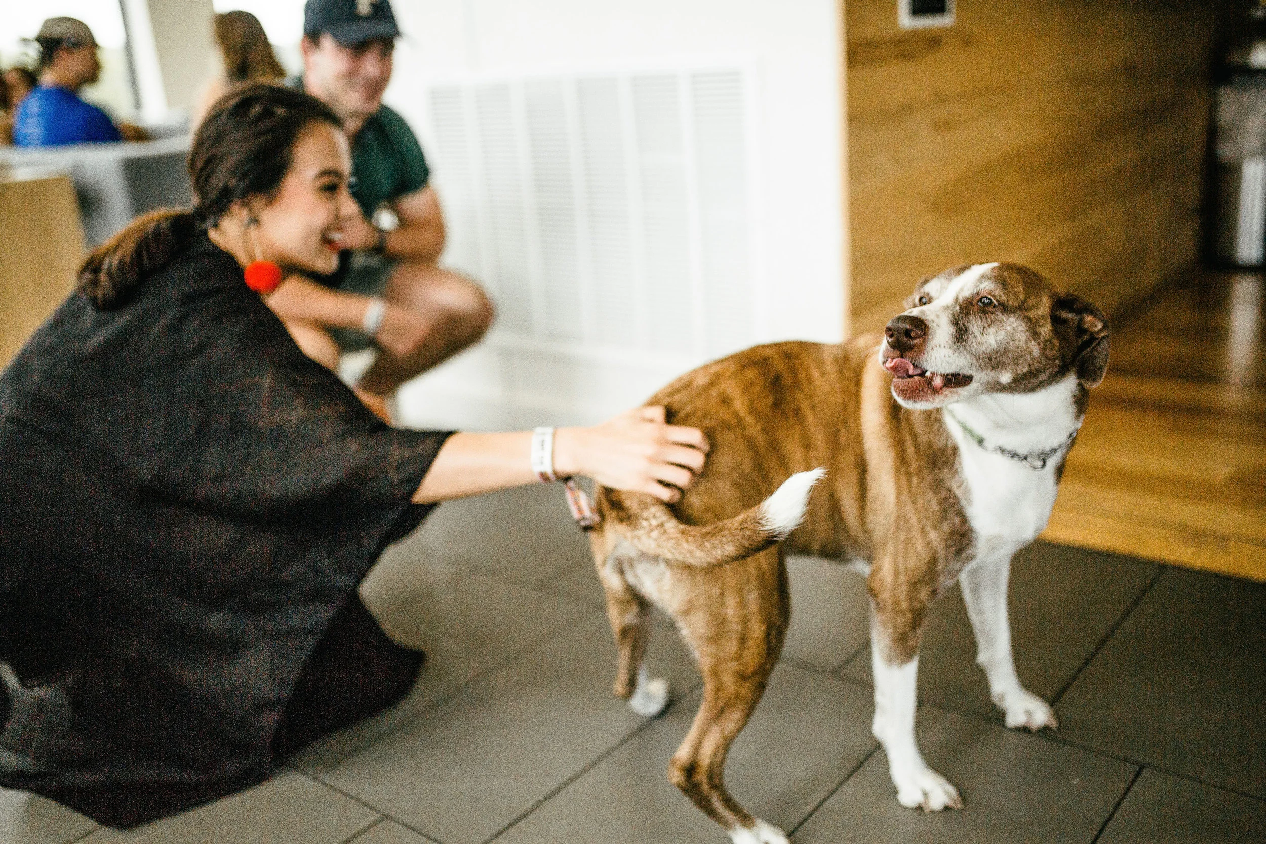 Complimentary butt-scratches (for our four legged friends)