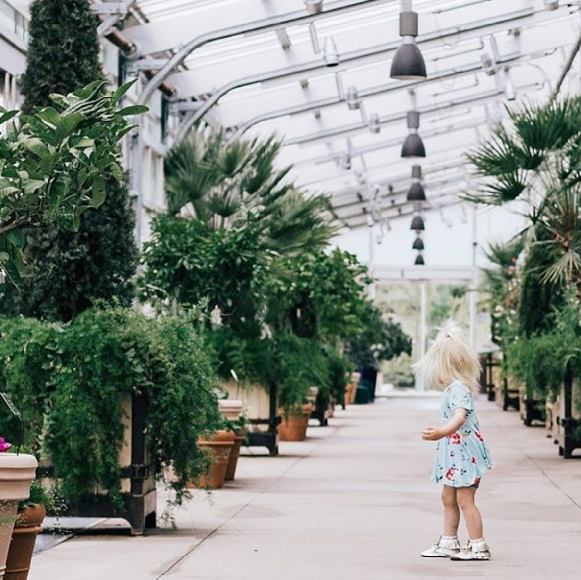 Union_DenverBotanic.png