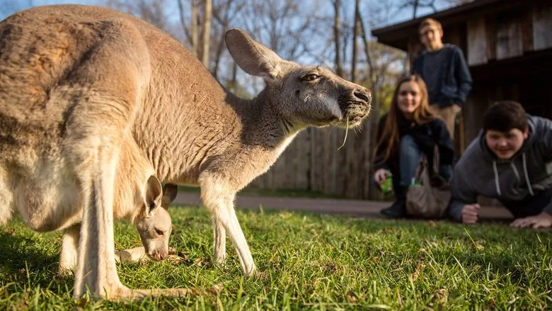 NashZoo_c-AmieeStubbsPhotography.jpg