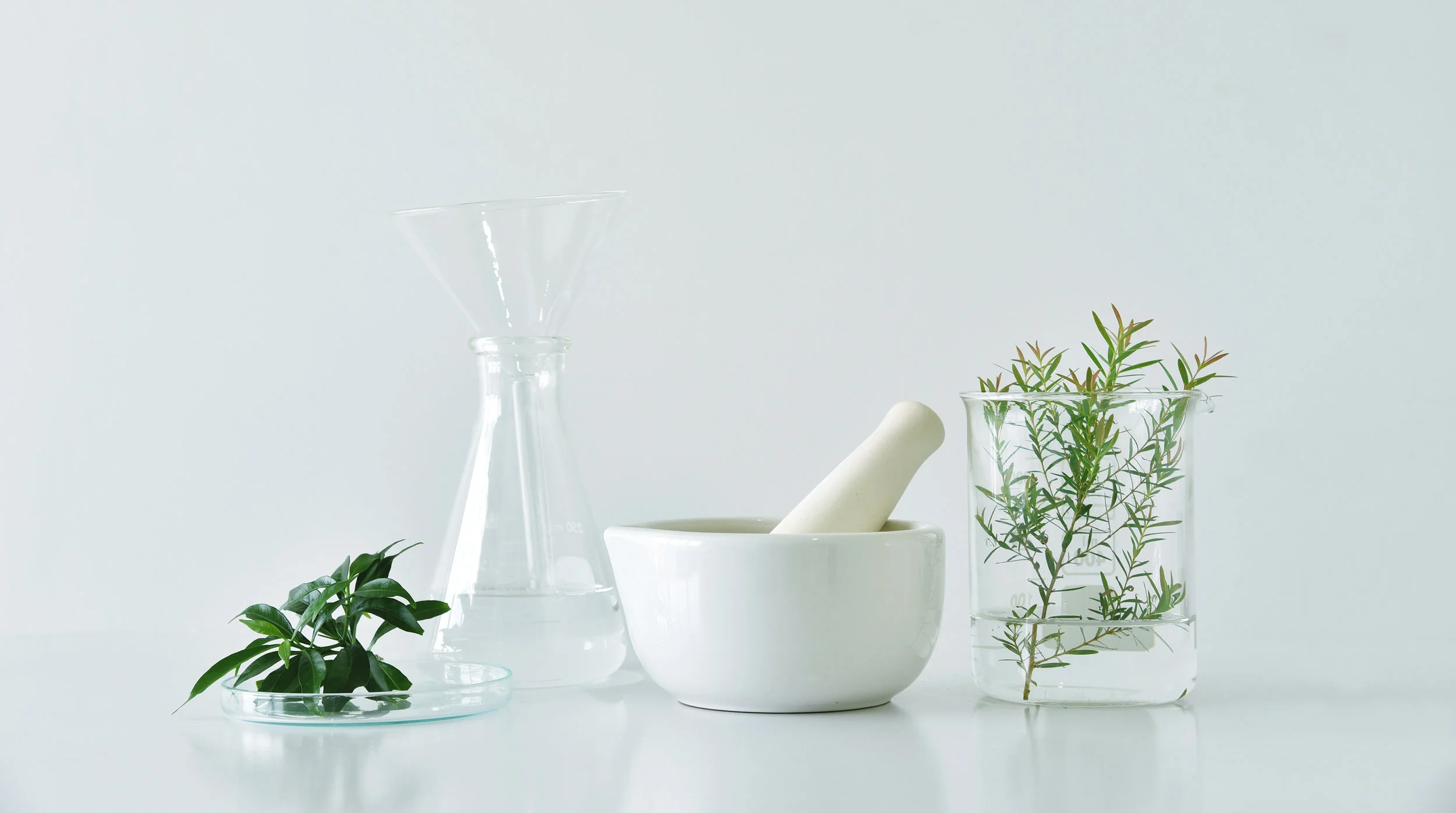 AdobeStock_163906284.jpg