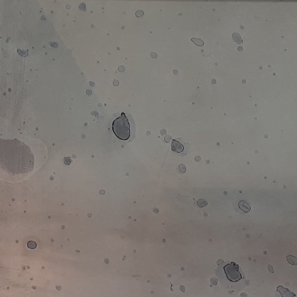 Antique Pattern #6 - Spritz & Splatter