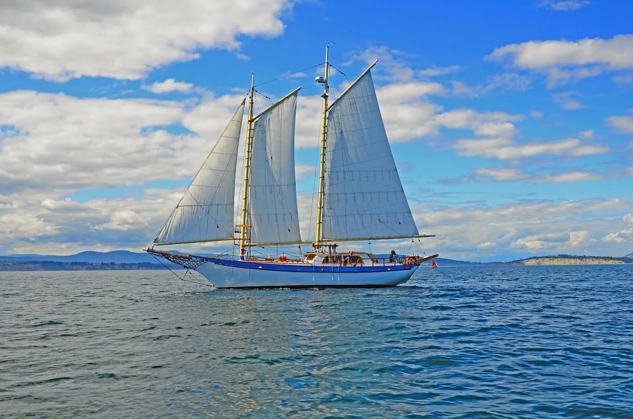 The Blue Starr 1