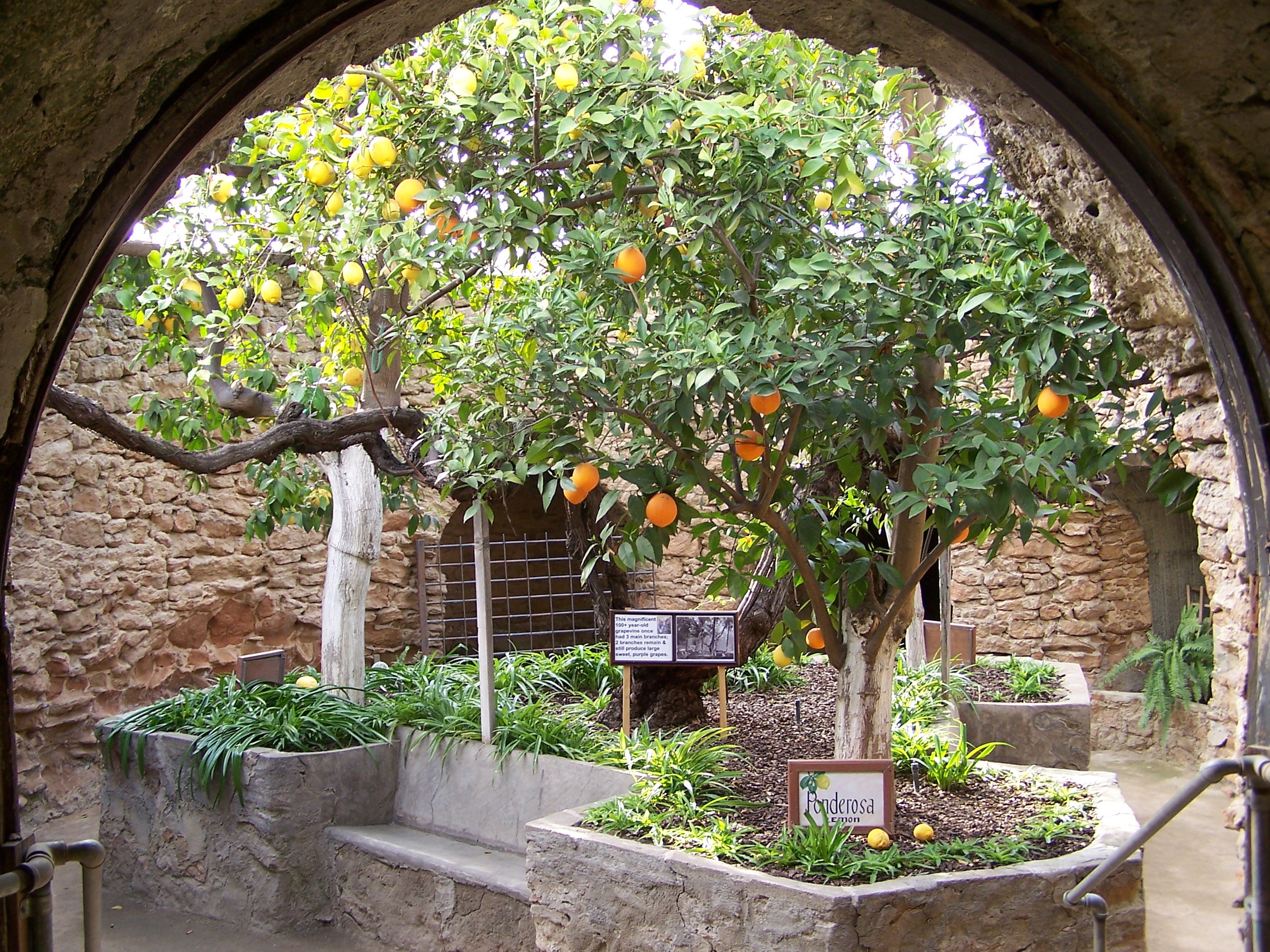 Hours Forestiere Underground Gardens