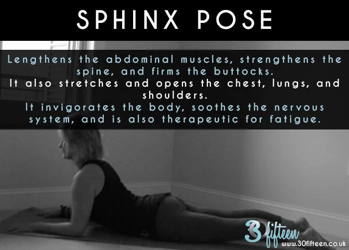 Sphinx Pose.jpg