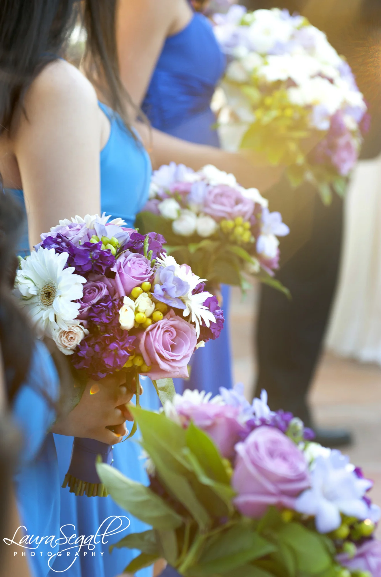segallphotography 005.jpg